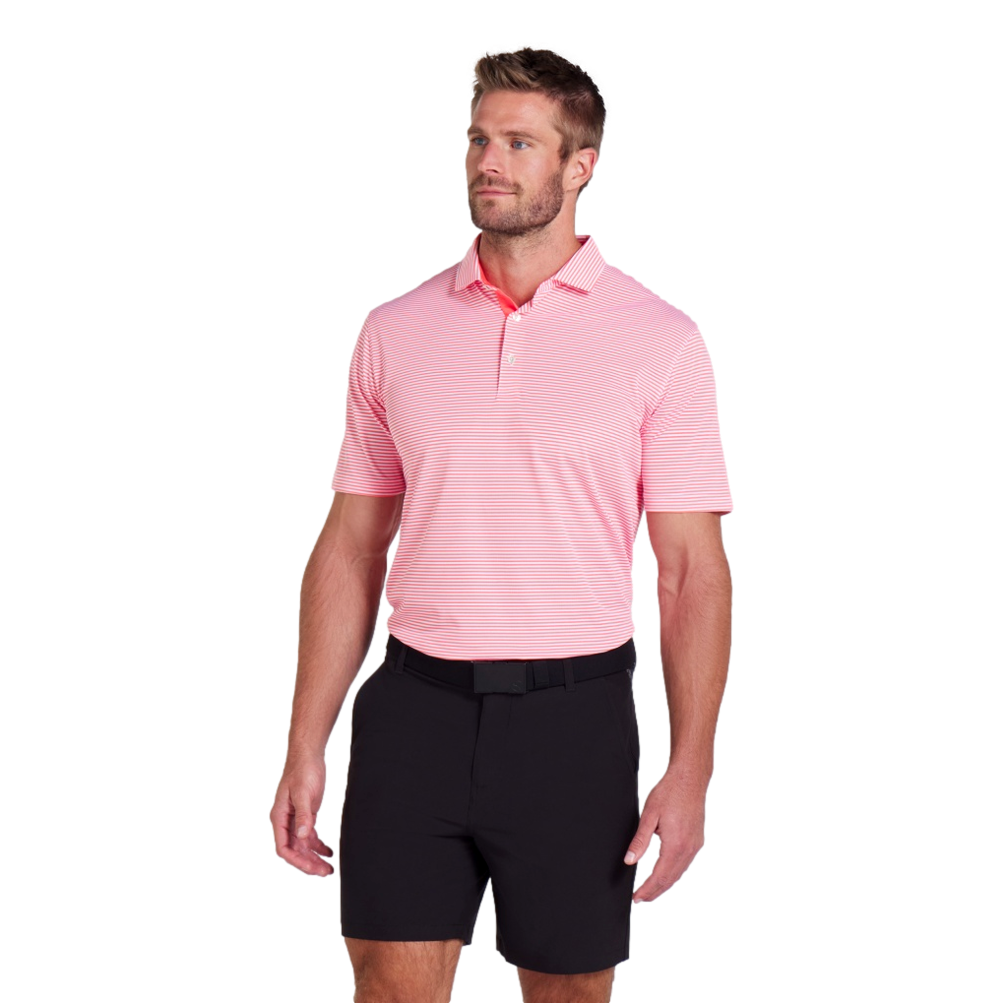 Isle Pique Polo Shirt