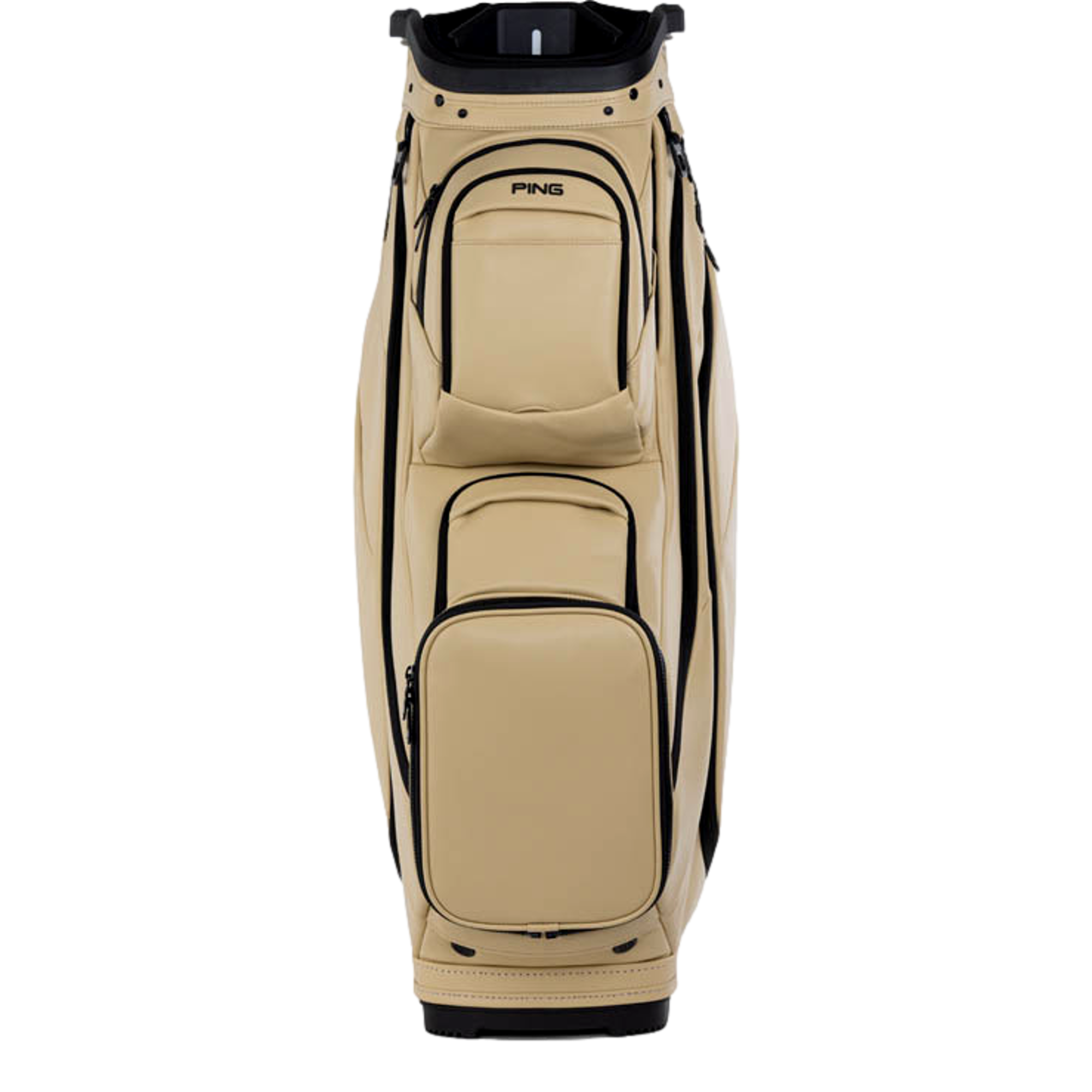 DLX Golf Cart Bag