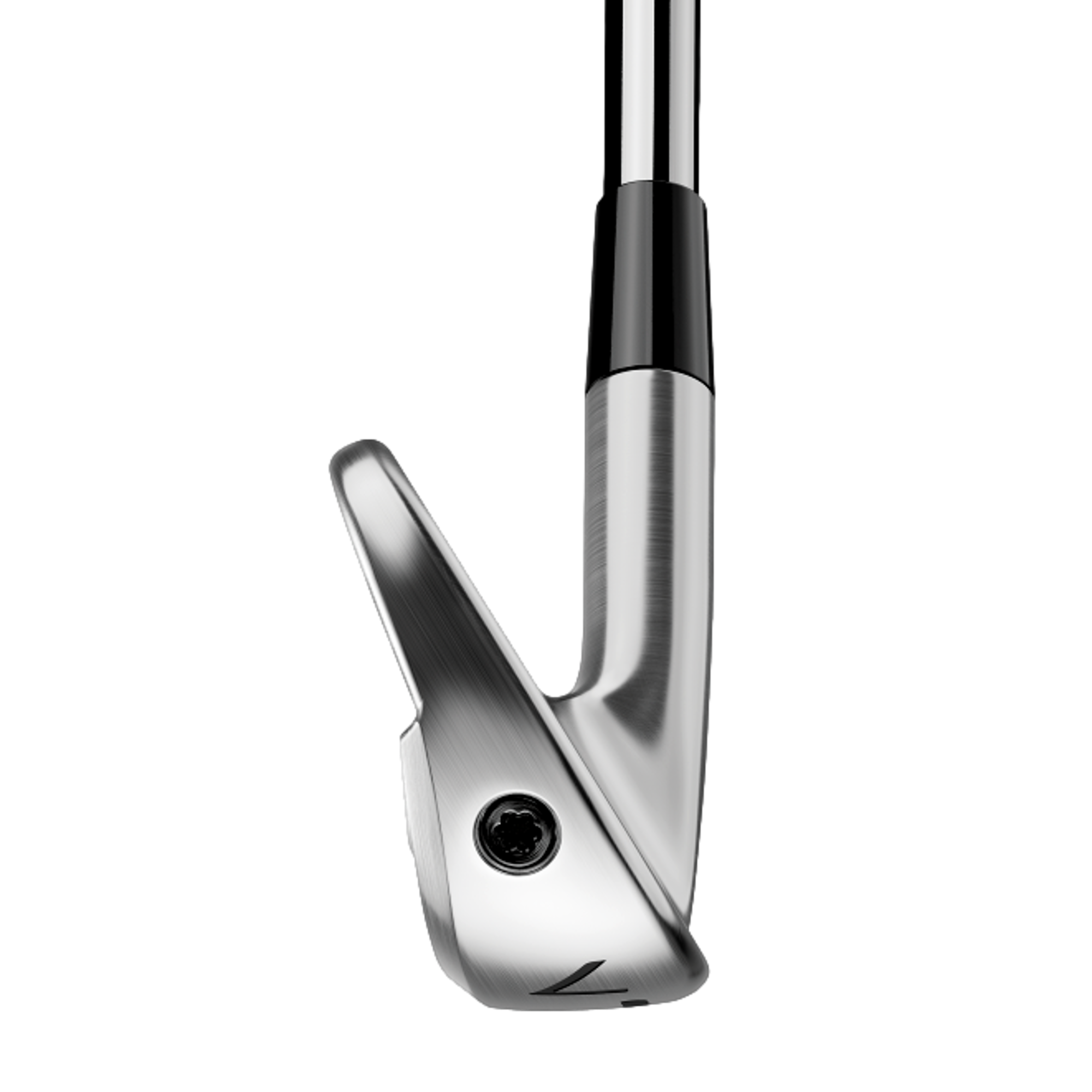 P•770 2024 Irons w/ Steel Shafts