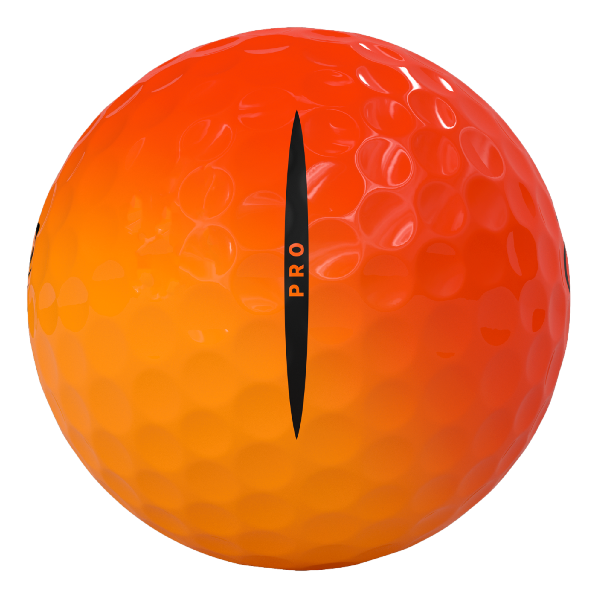 Vice Pro 2024