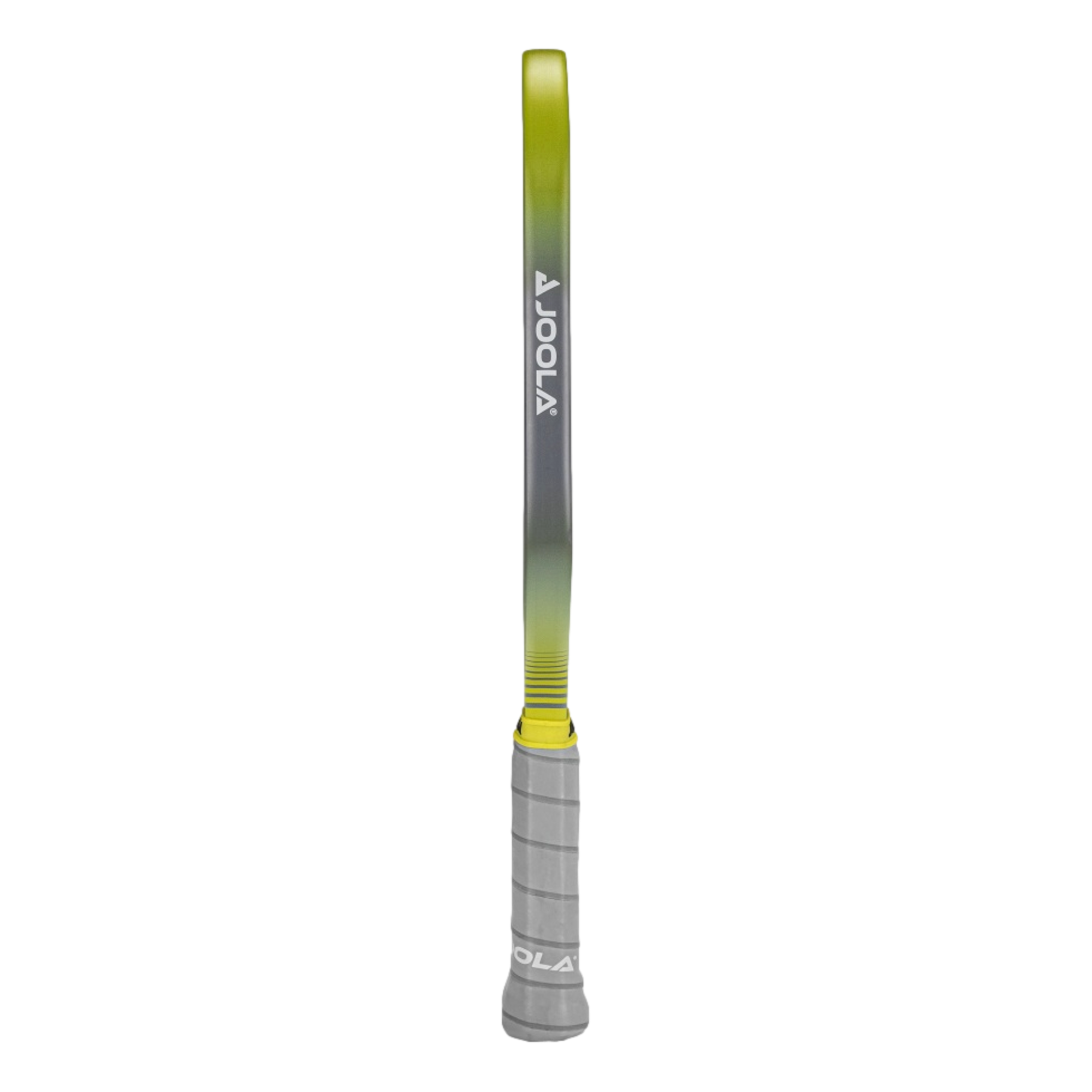 Anna Bright Scorpeus CFS 14mm Pickleball Paddle | PGA TOUR Superstore