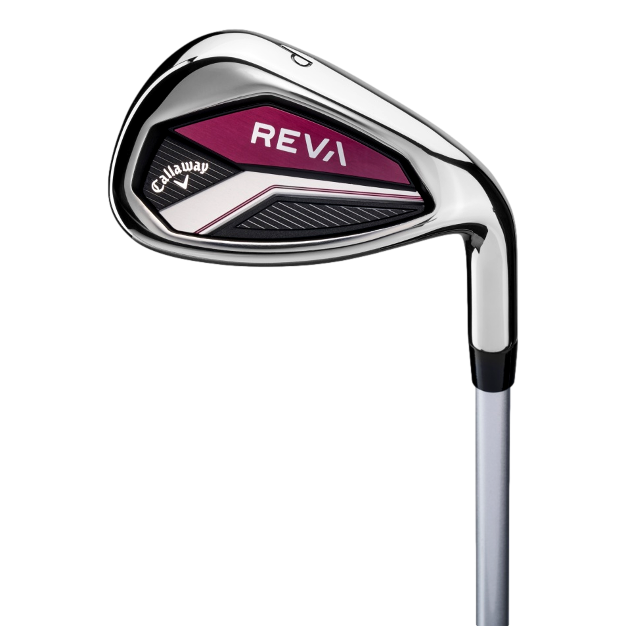 REVA 2024 11-Piece Complete Set w/ Cart Bag