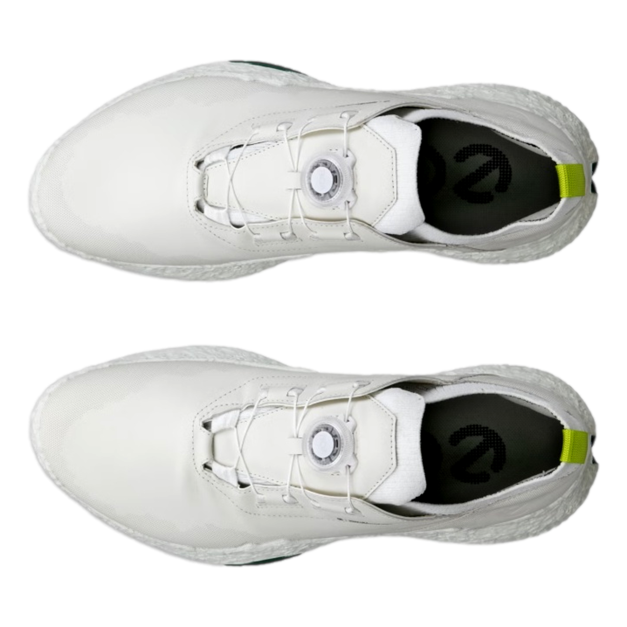 Biom H5 Boa Men's Golf Shoe
