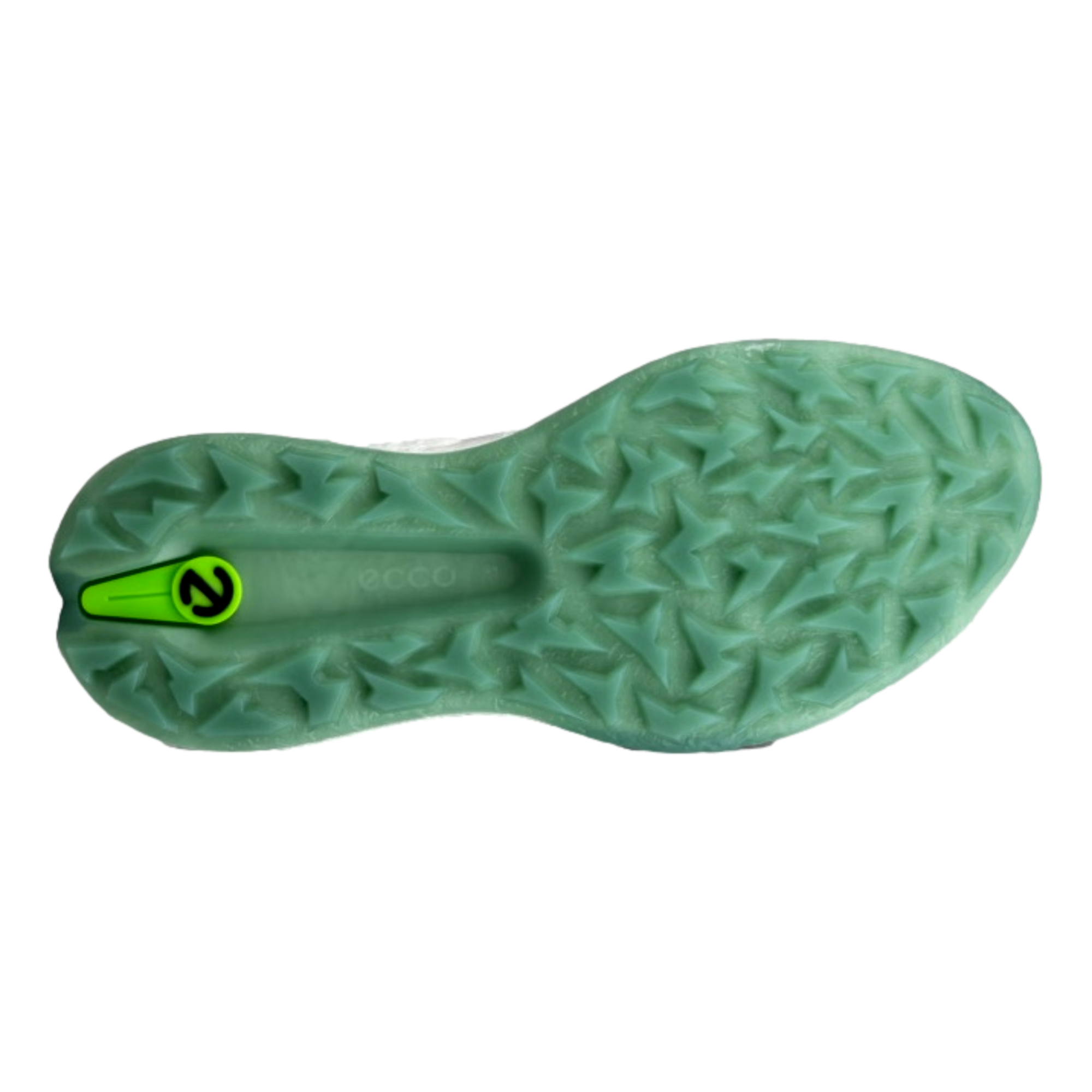 Biom H5 Boa Men's Golf Shoe