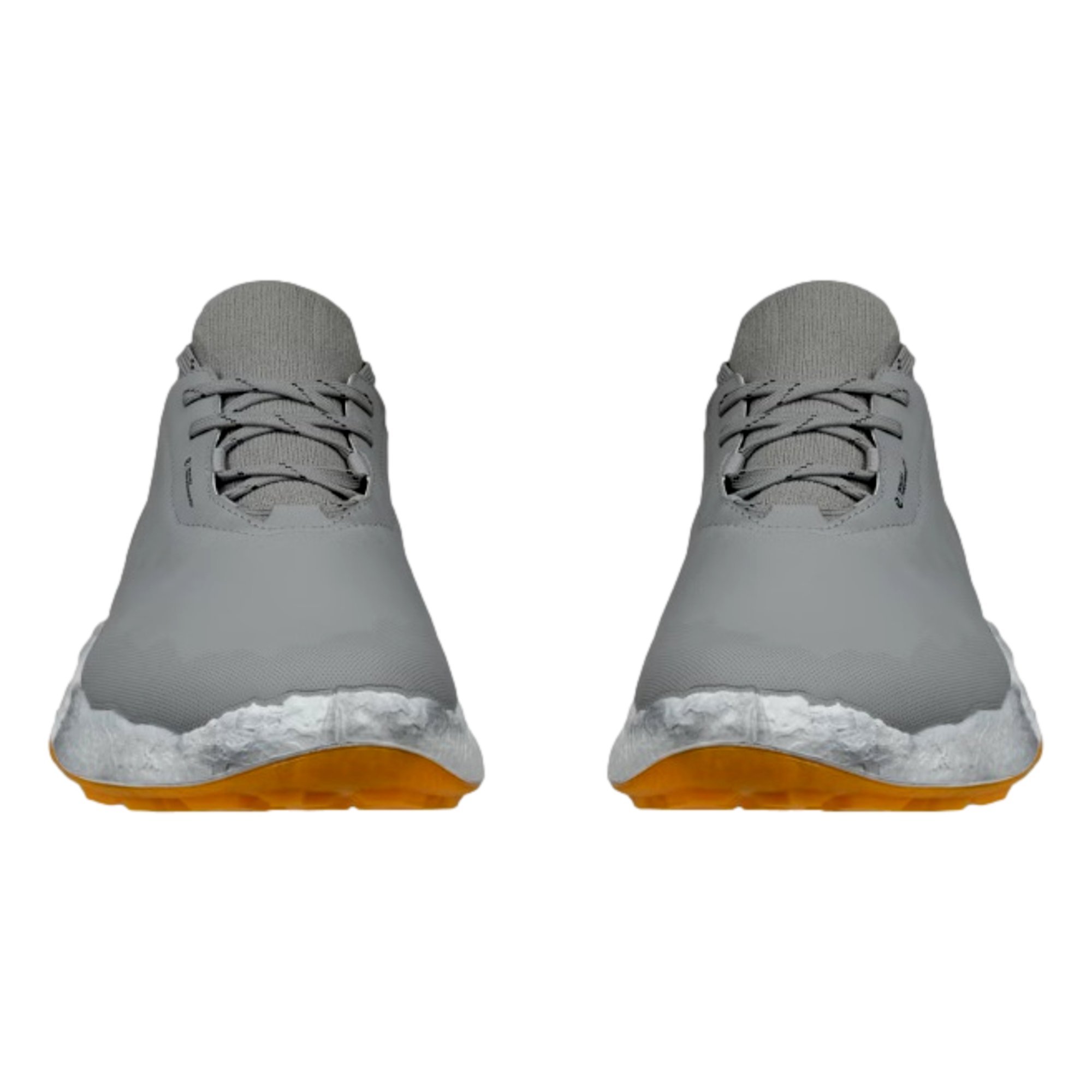 Biom H5 Men's Golf Shoe