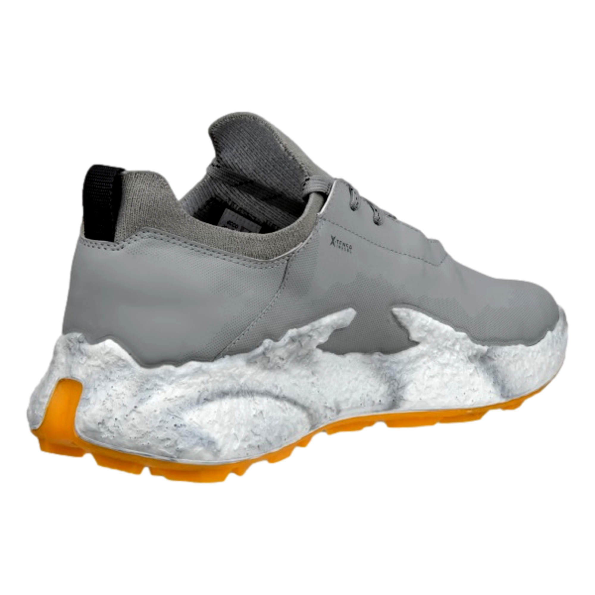 Biom H5 Men's Golf Shoe
