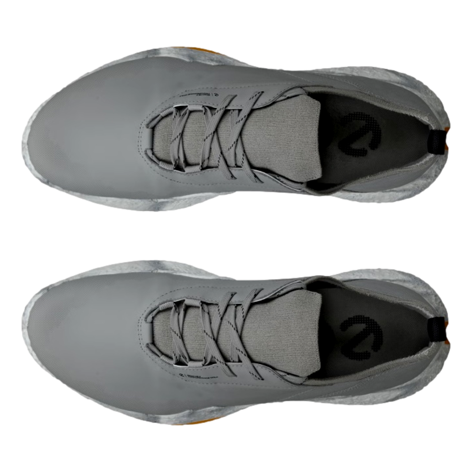 Biom H5 Men's Golf Shoe