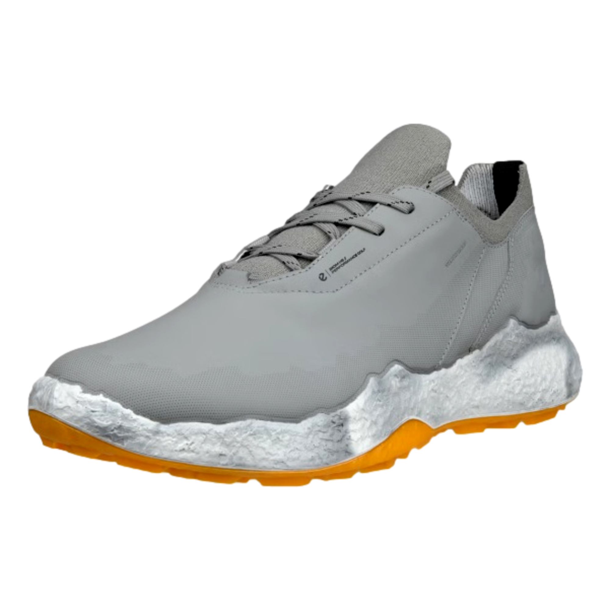 Biom H5 Men's Golf Shoe