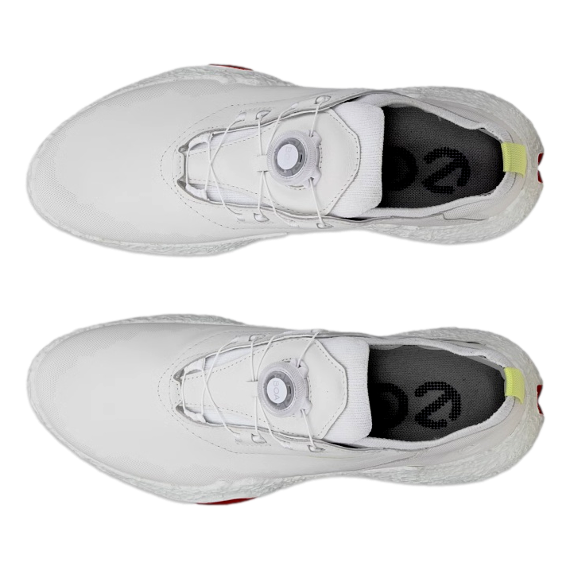 Biom H5 Boa Women's Golf Shoe