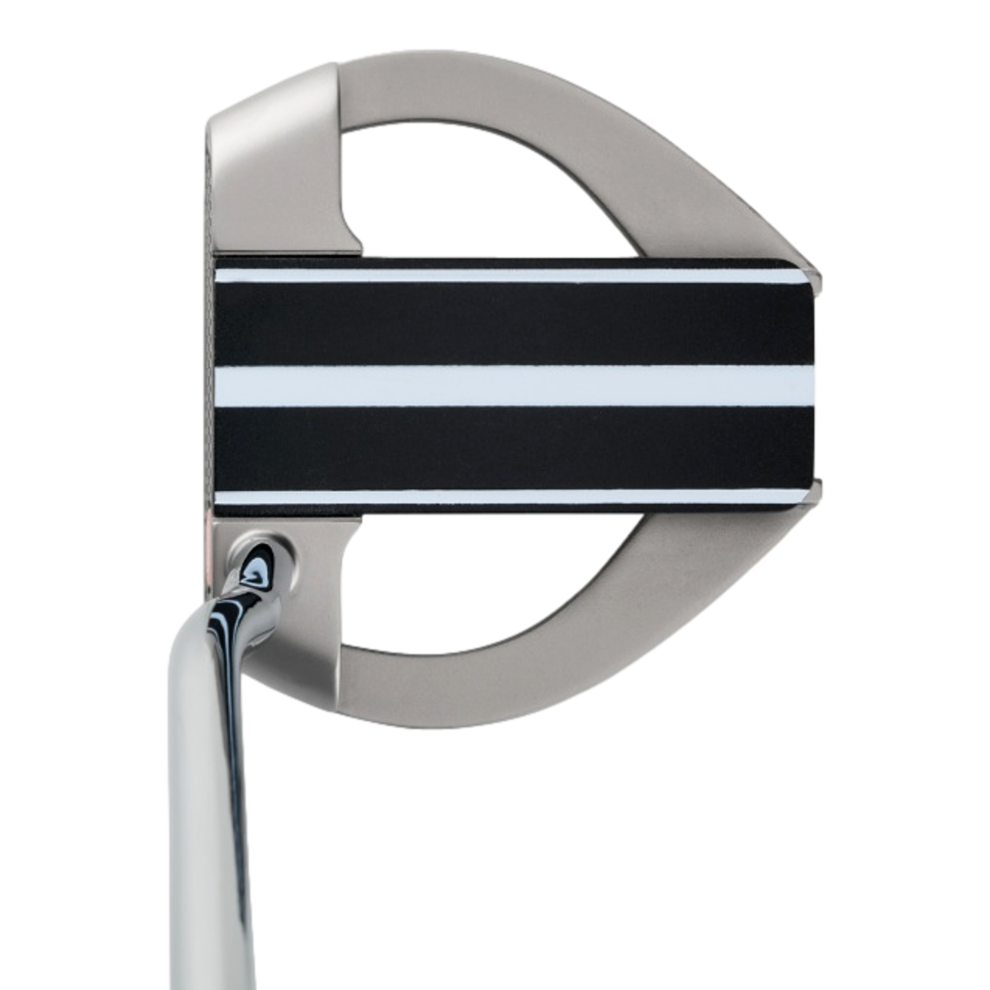 Microhinge Marxman Fang Putter