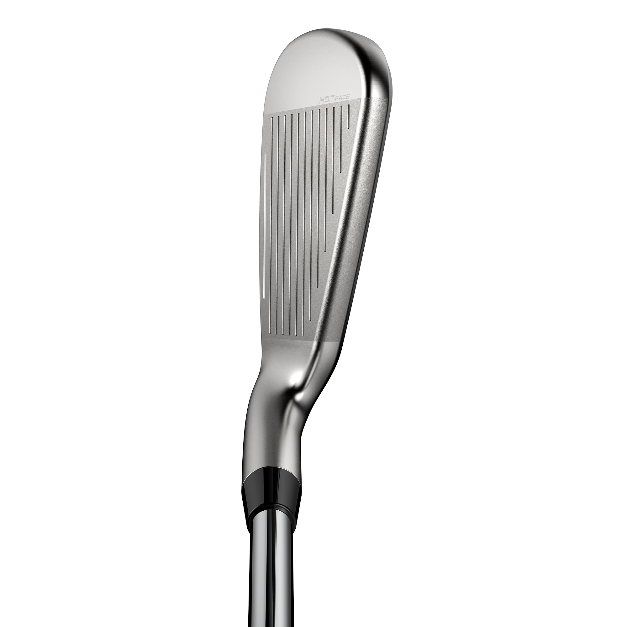 DS-ADAPT Irons w/ Graphite Shafts