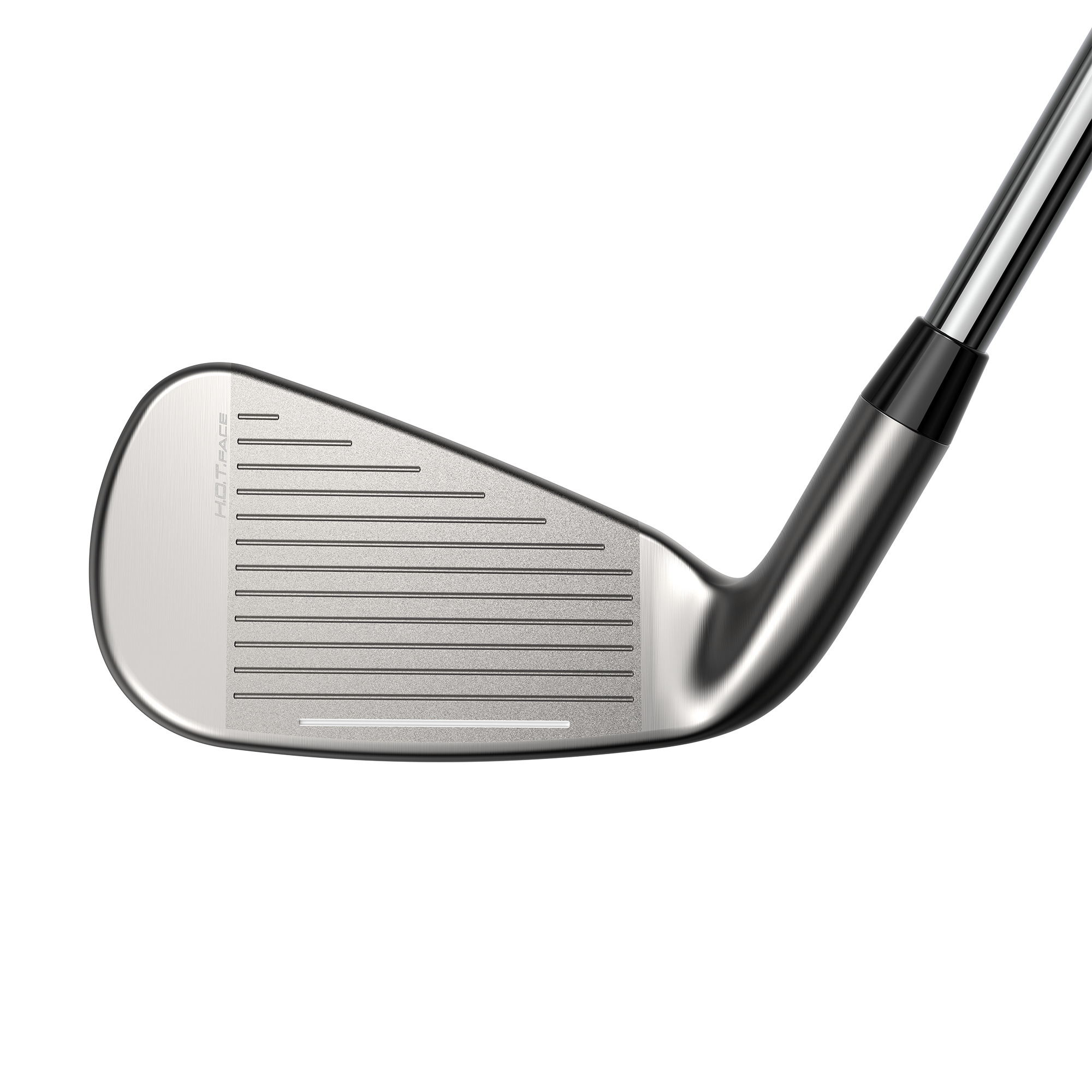 DS-ADAPT Irons w/ Graphite Shafts