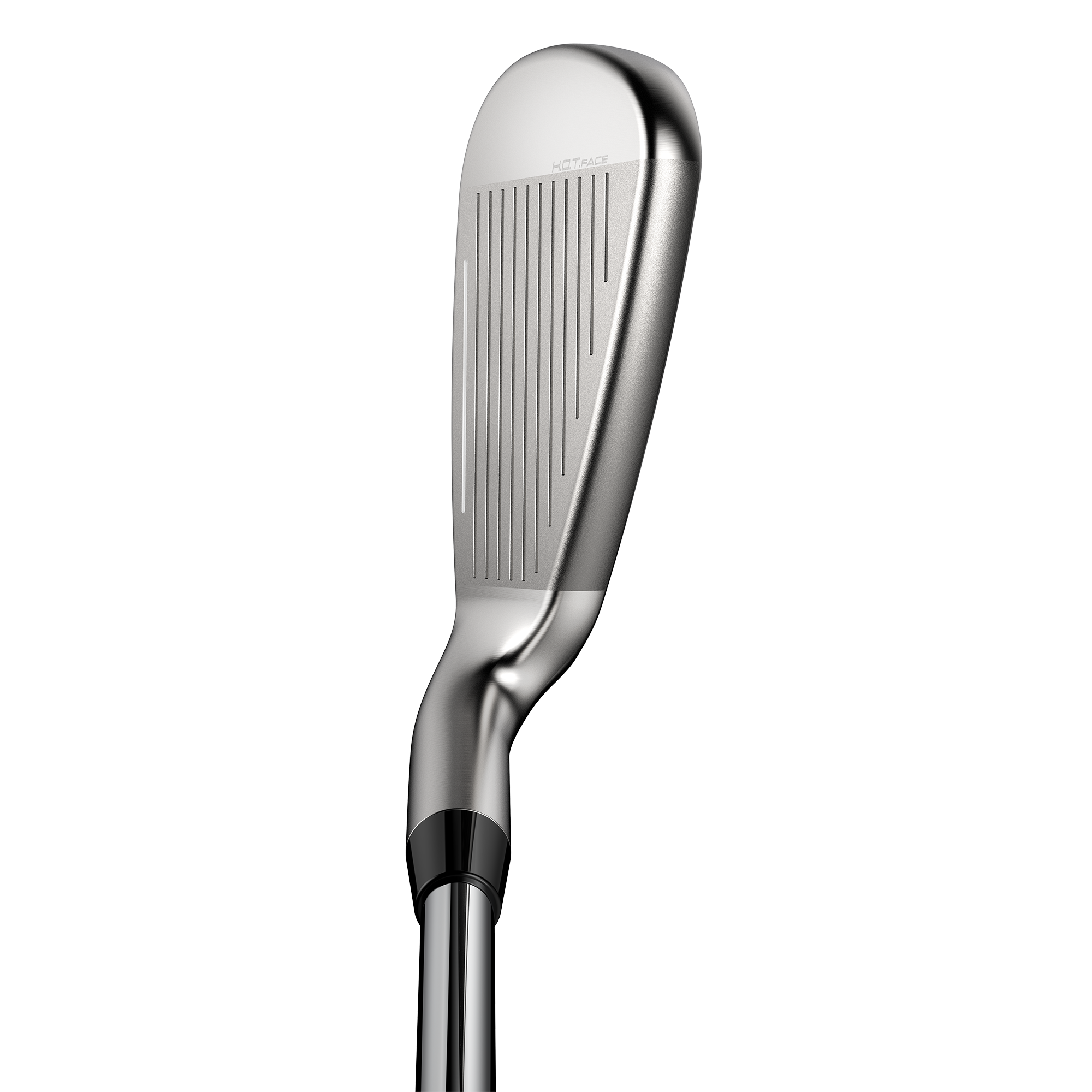 DS-ADAPT Max Irons w/ Steel Shafts