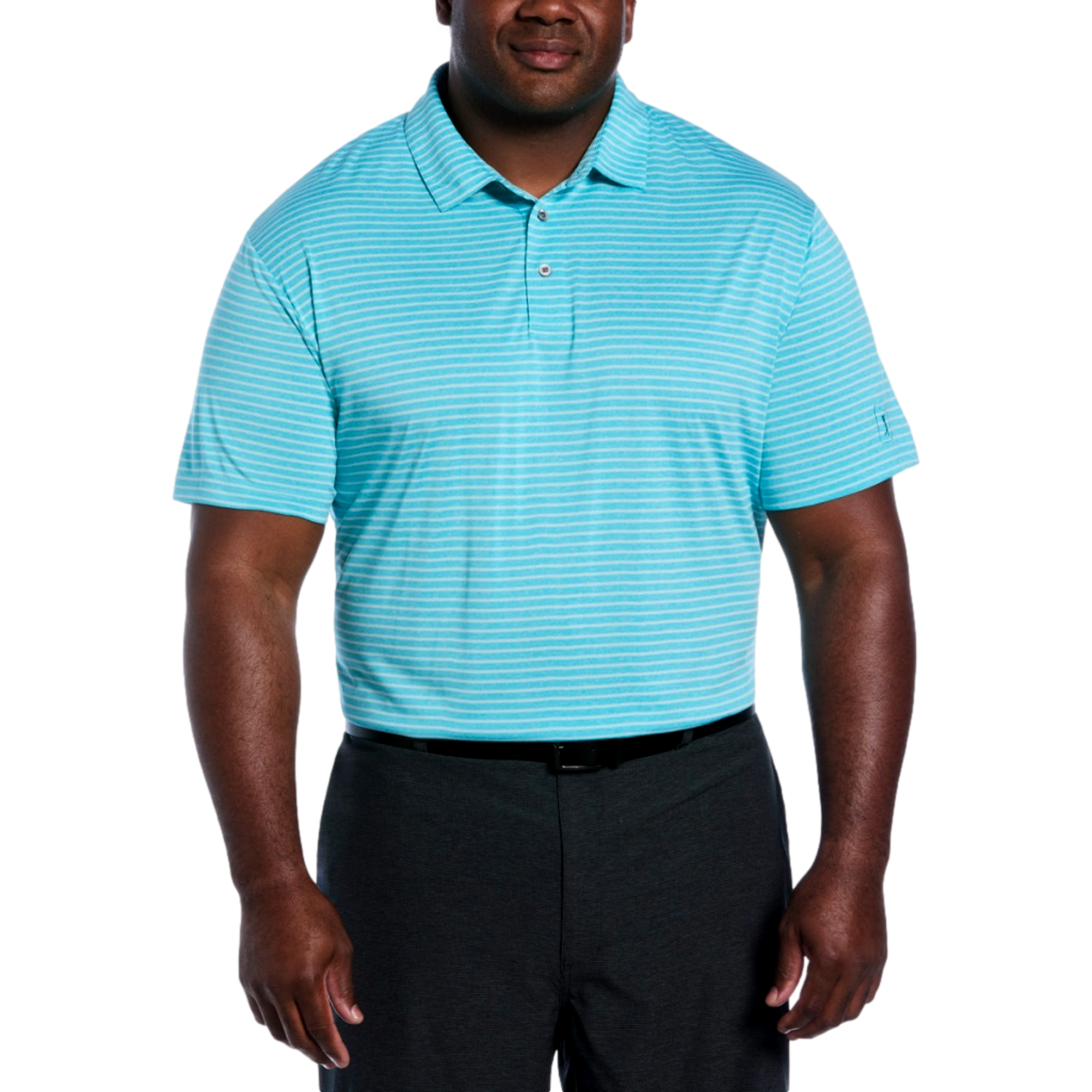 Heather Feeder Stripe Big & Tall Men's Short Sleeve Golf Polo Shirt