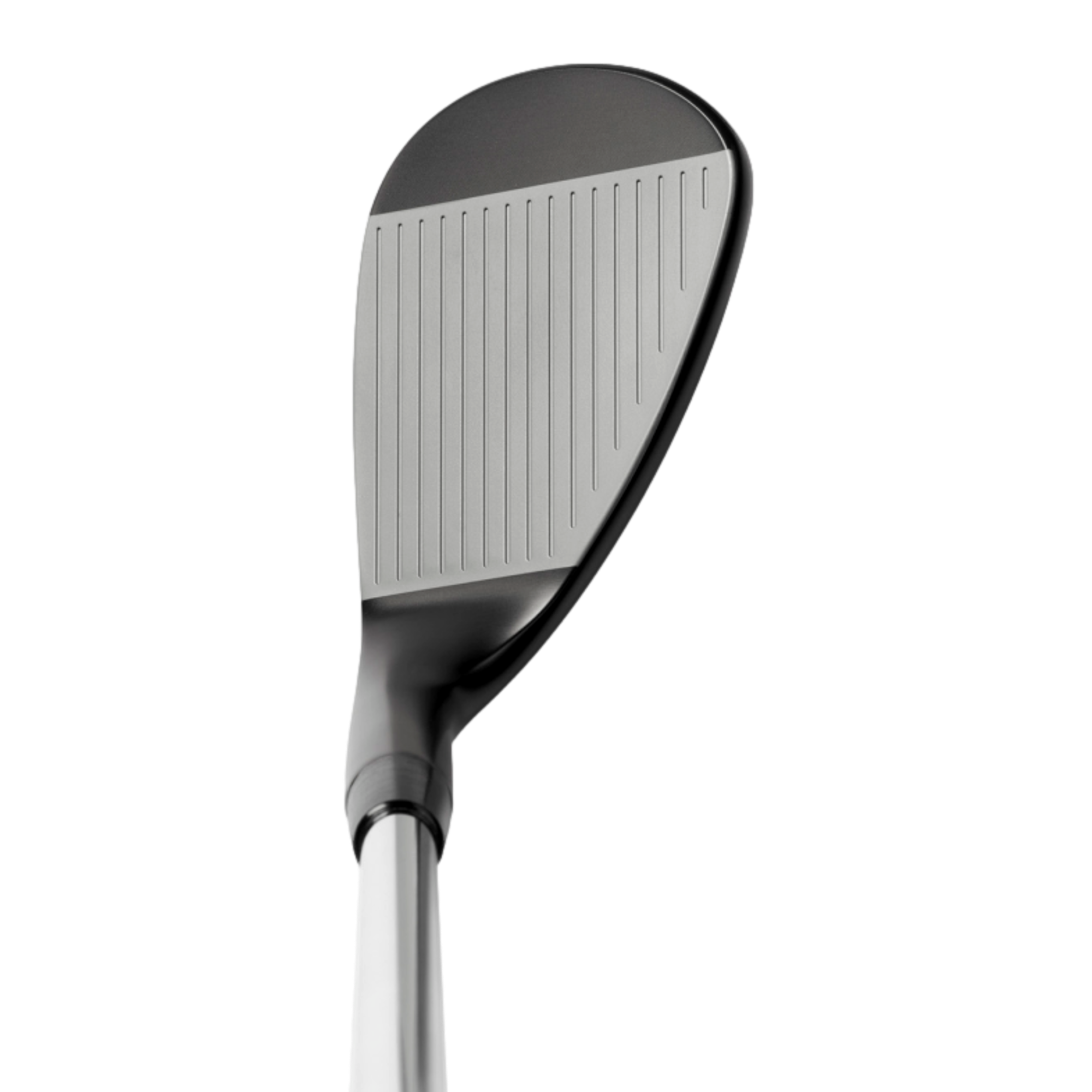 Pro T-1 Black Ion Wedge w/ Steel Shaft