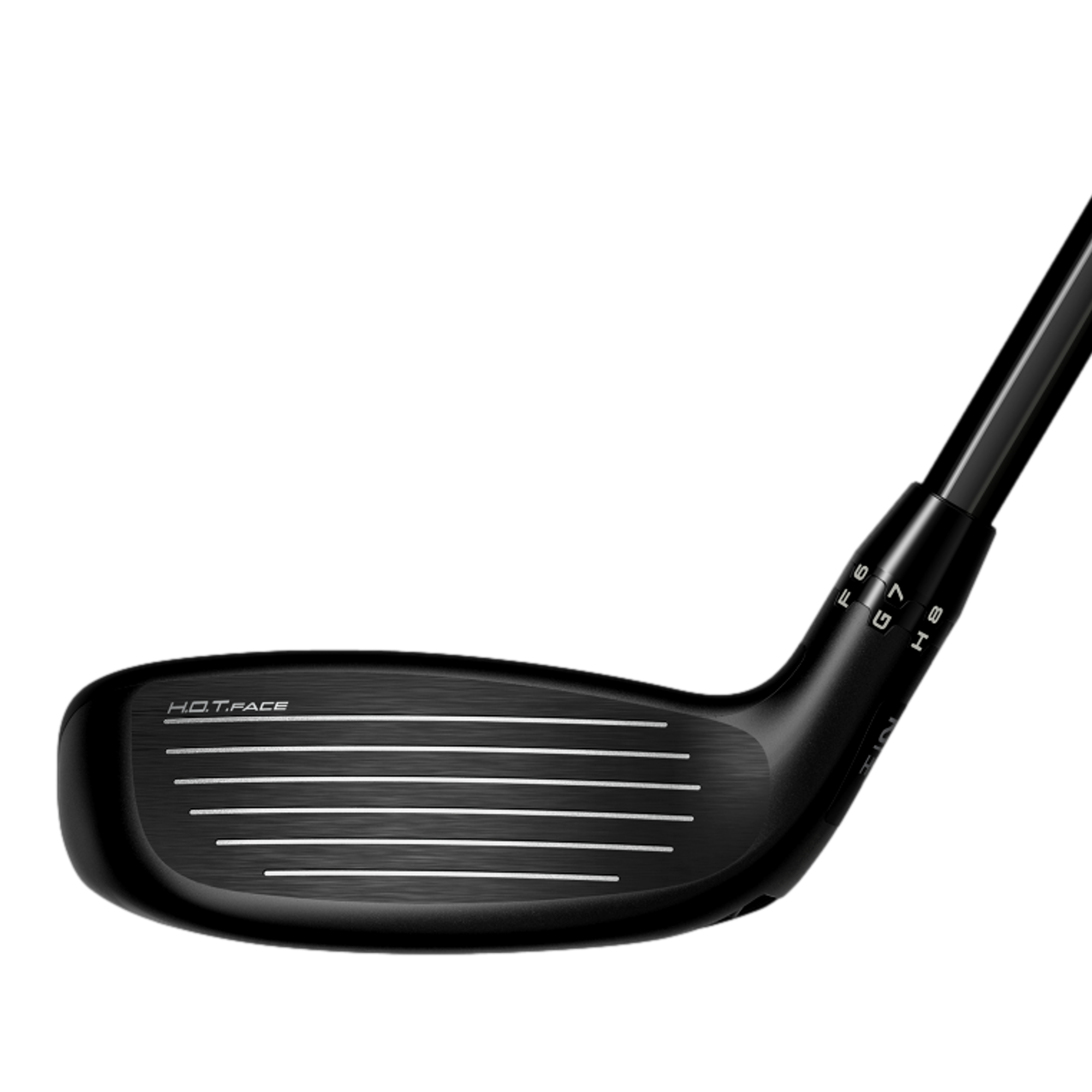 KING TEC 2025 Hybrid