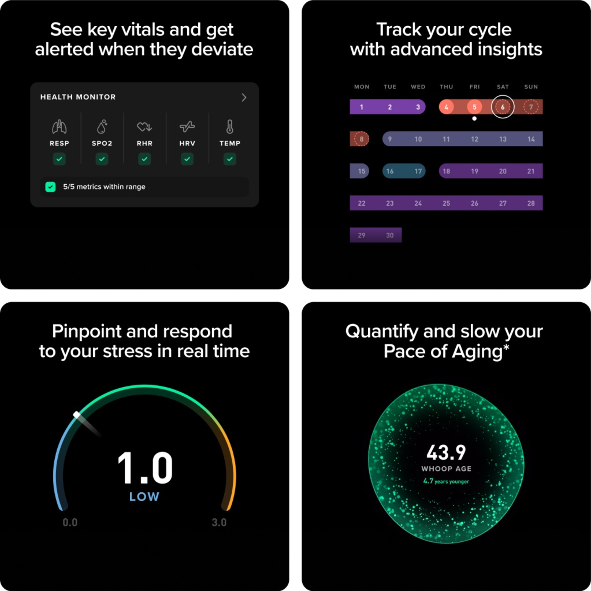 Peak – 12-Month Membership – 5.0 Health and Fitness Wearable