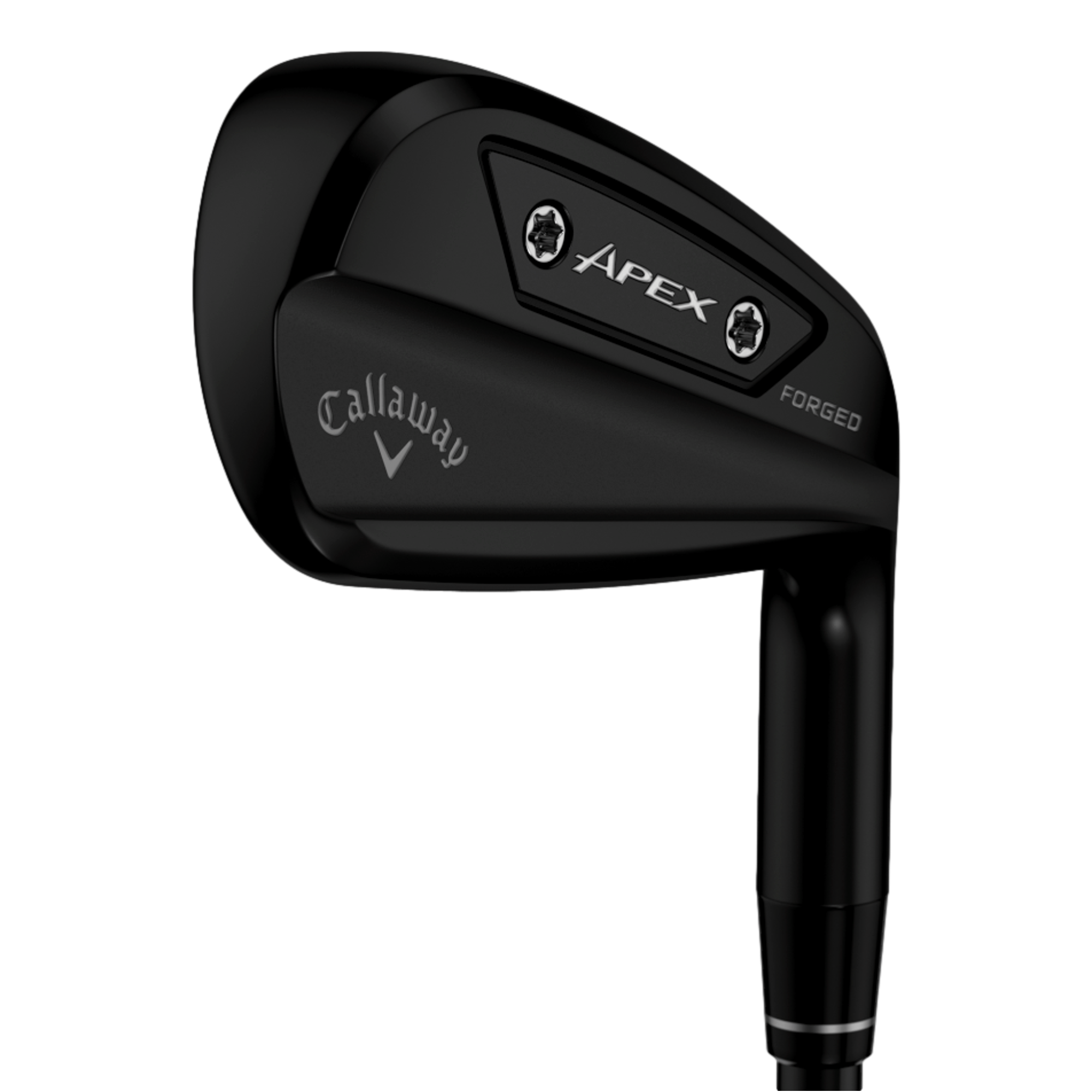 Apex AI200 Black Irons with Steel Shafts | PGA TOUR Superstore