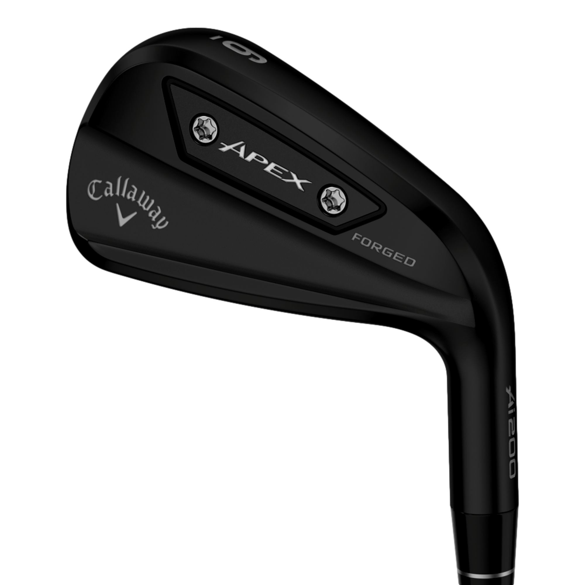 Apex AI200 Black Irons with Steel Shafts | PGA TOUR Superstore