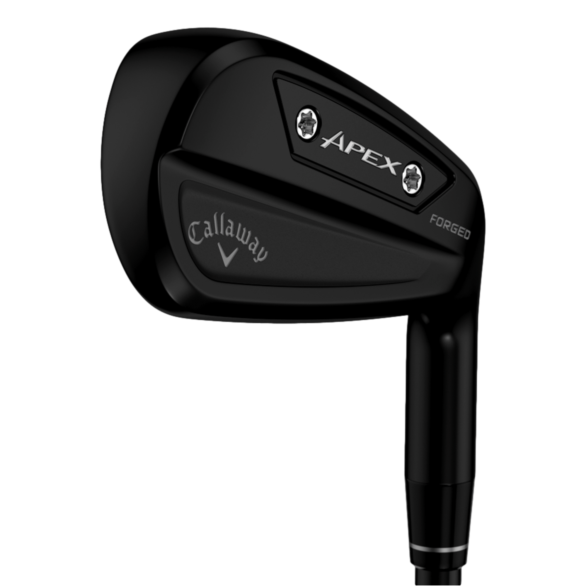 Apex AI300 Black Irons with Steel Shafts