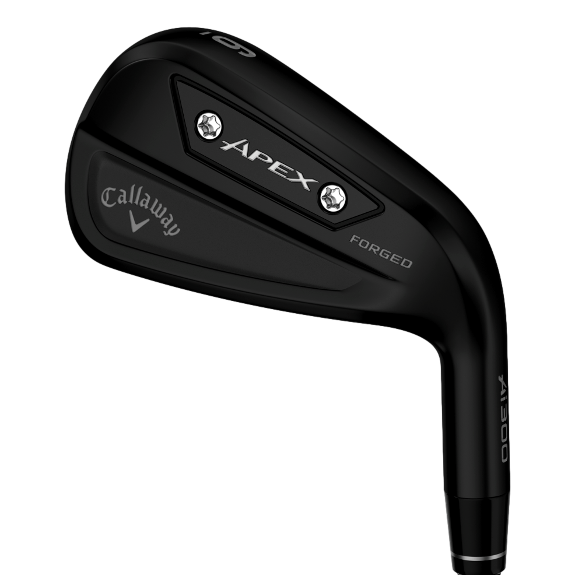 Apex AI300 Black Irons with Steel Shafts