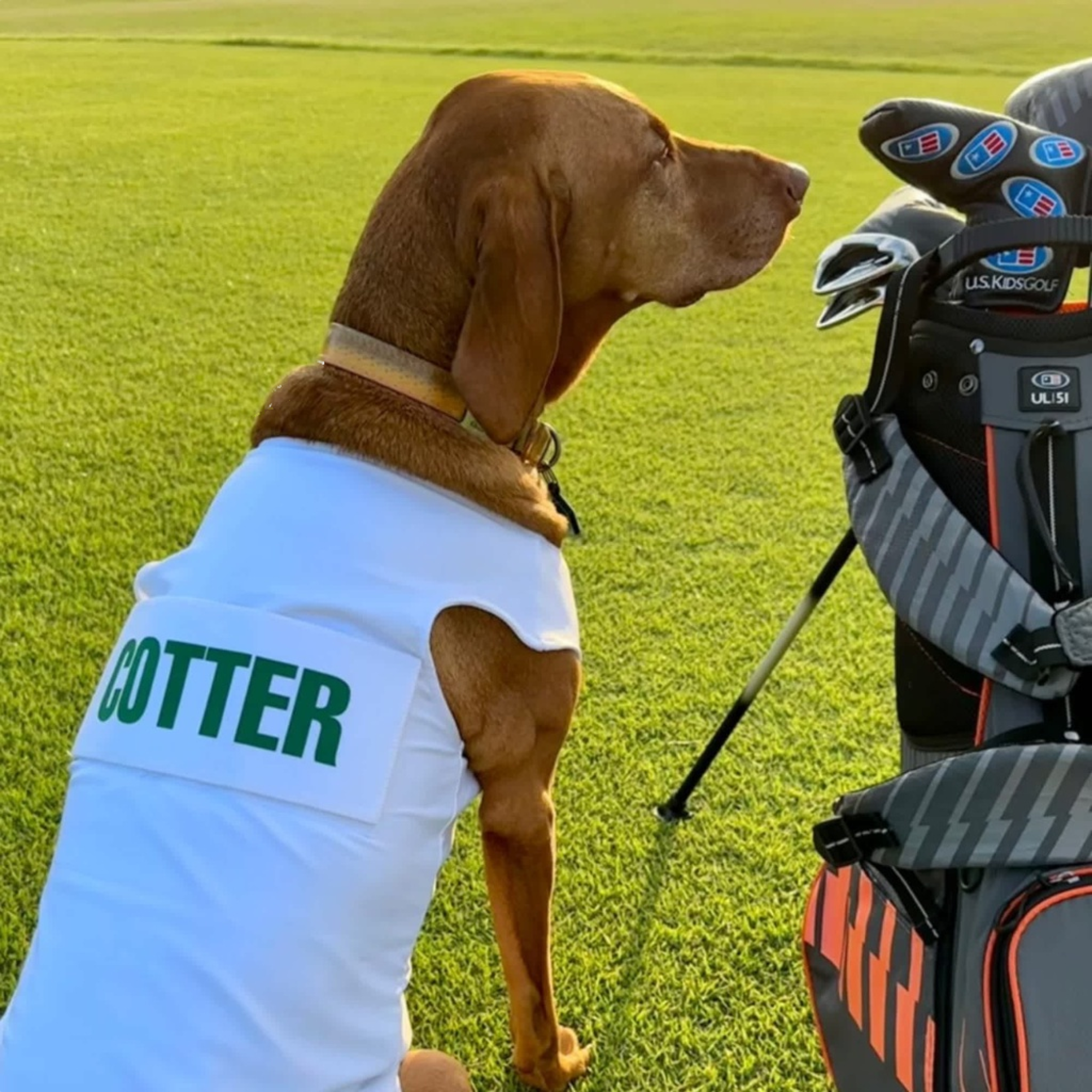 Dog Caddie Uniform Bib with Custom Name