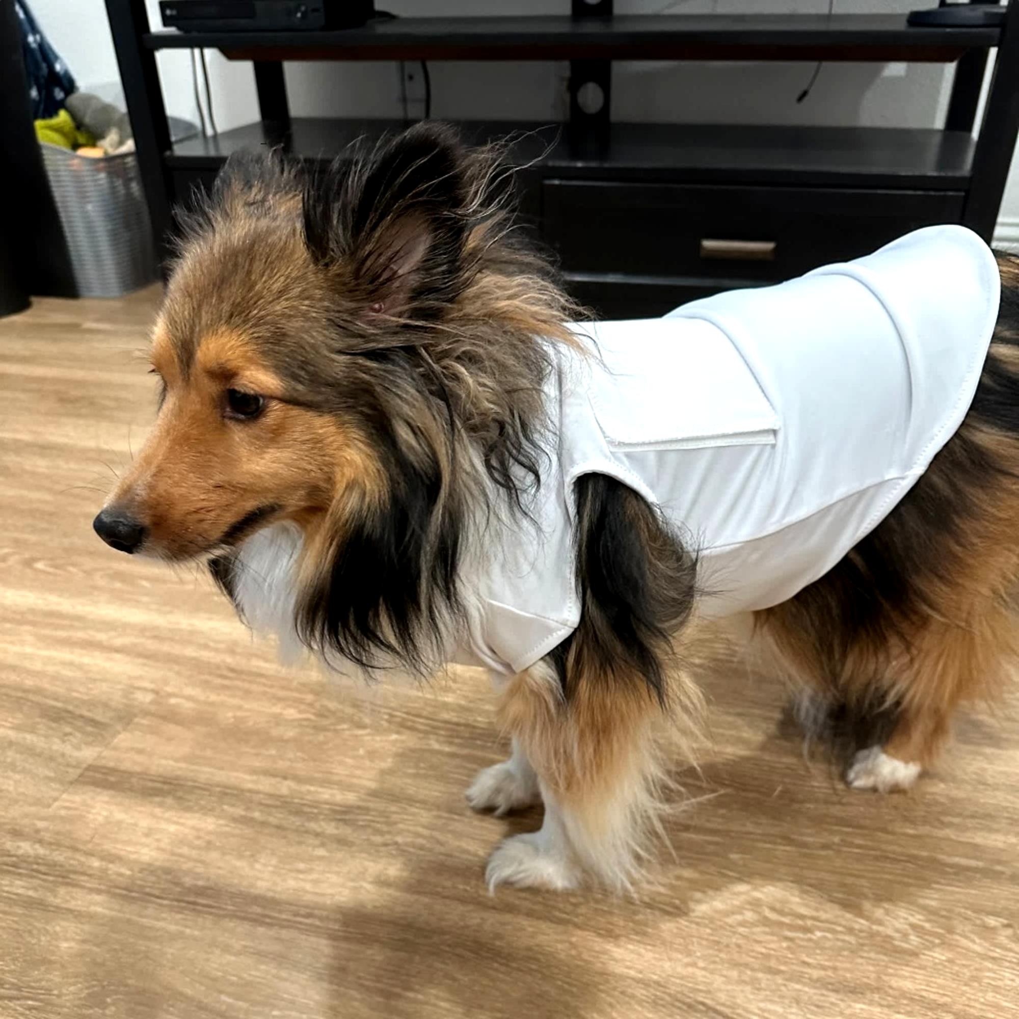 Dog Caddie Uniform Bib with Custom Name