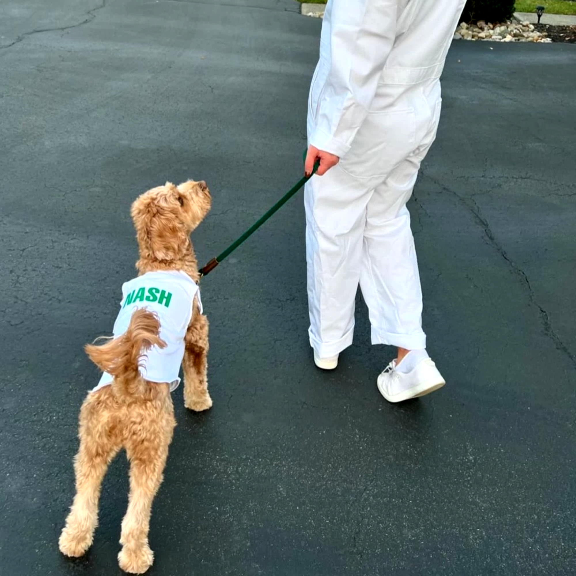 Dog Caddie Uniform Bib with Custom Name