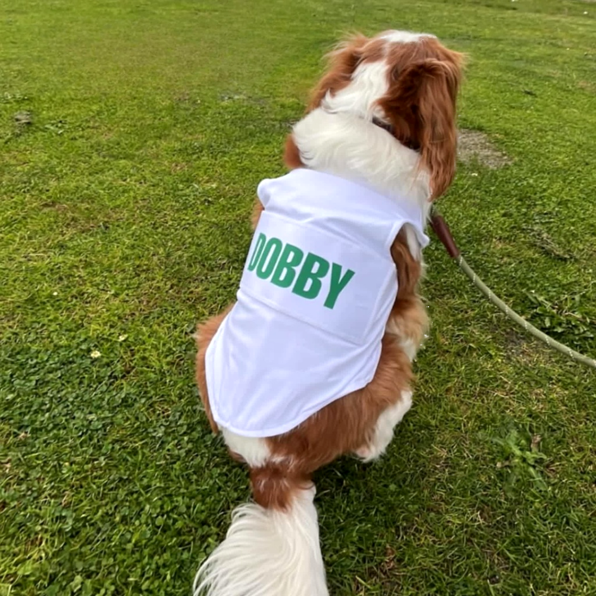 Dog Caddie Uniform Bib with Custom Name