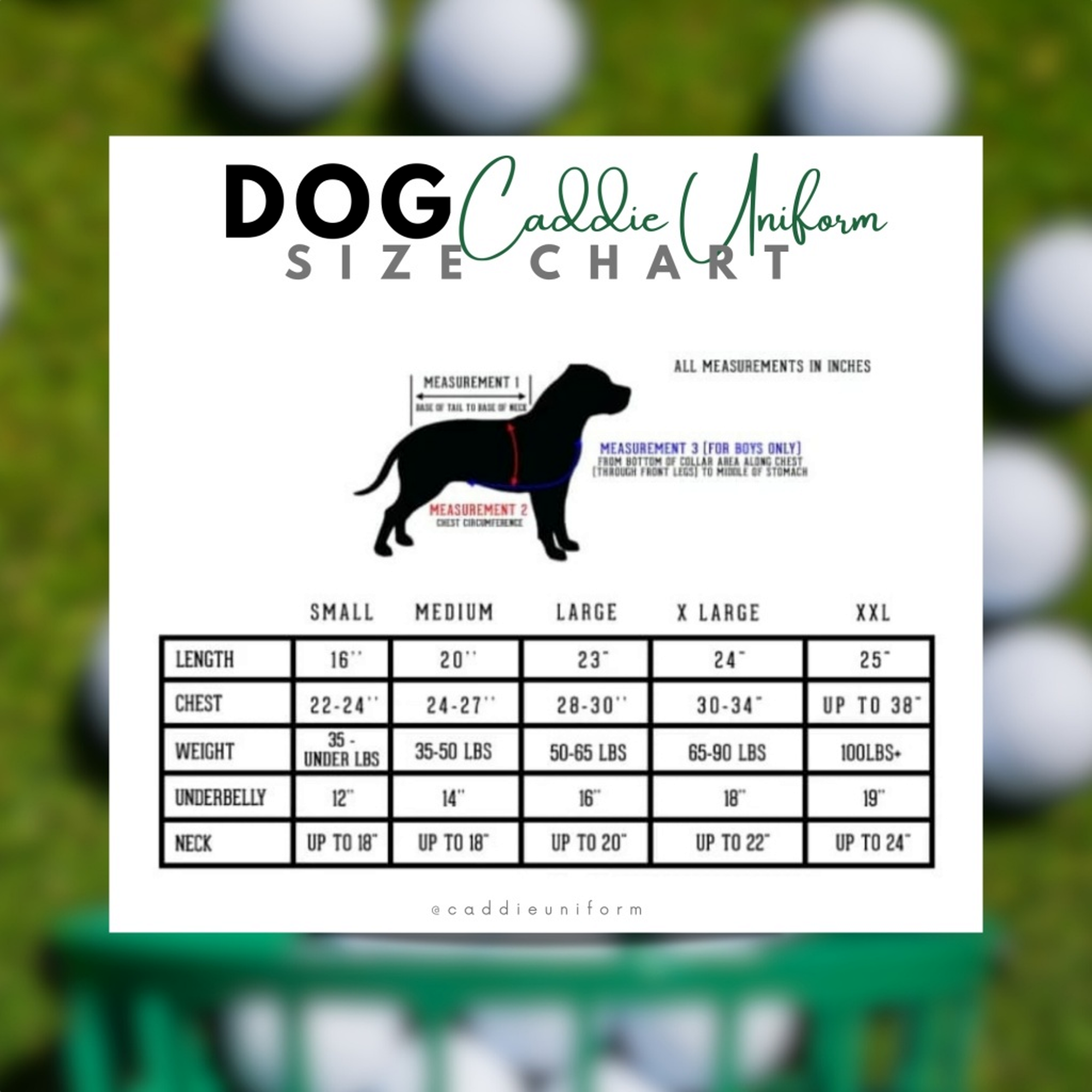 Dog Caddie Uniform Bib with Custom Name