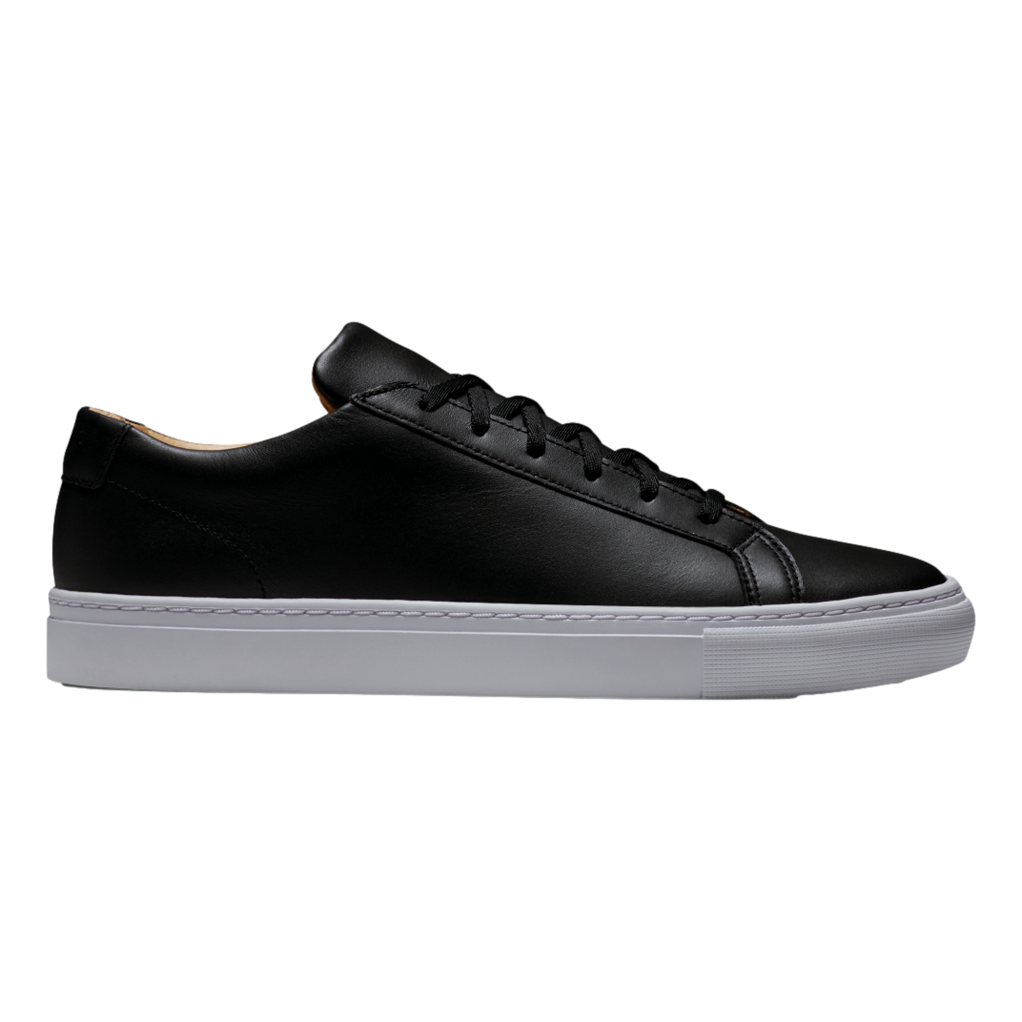 FJ Court Men's Shoe