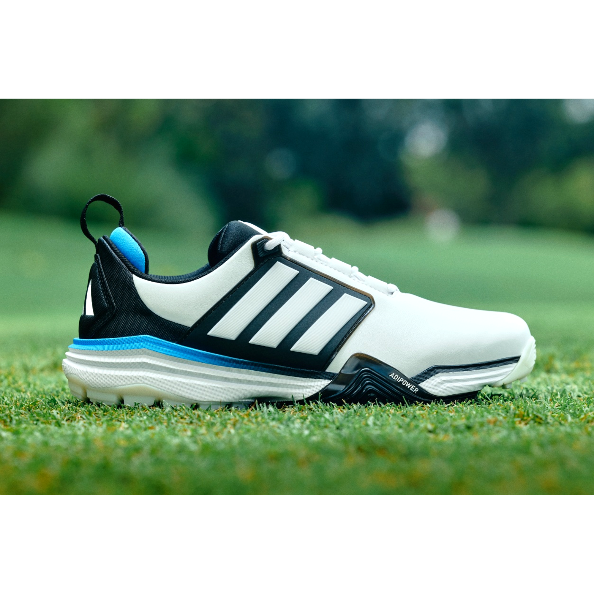 Adidas adipower '26 Men's Spikeless Golf Shoes | PGA TOUR Superstore