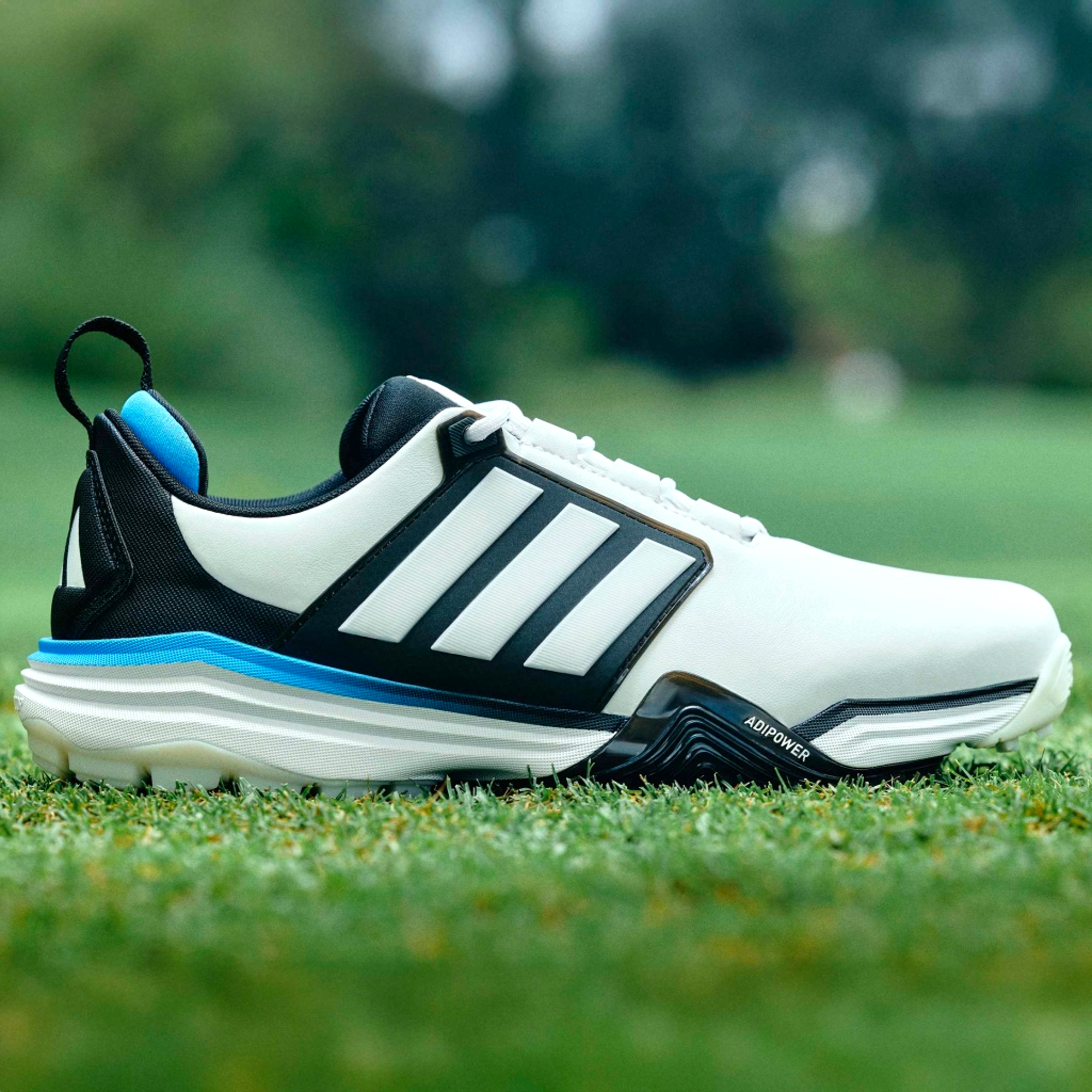 Adidas adipower '26 Men's Spikeless Golf Shoes | PGA TOUR Superstore
