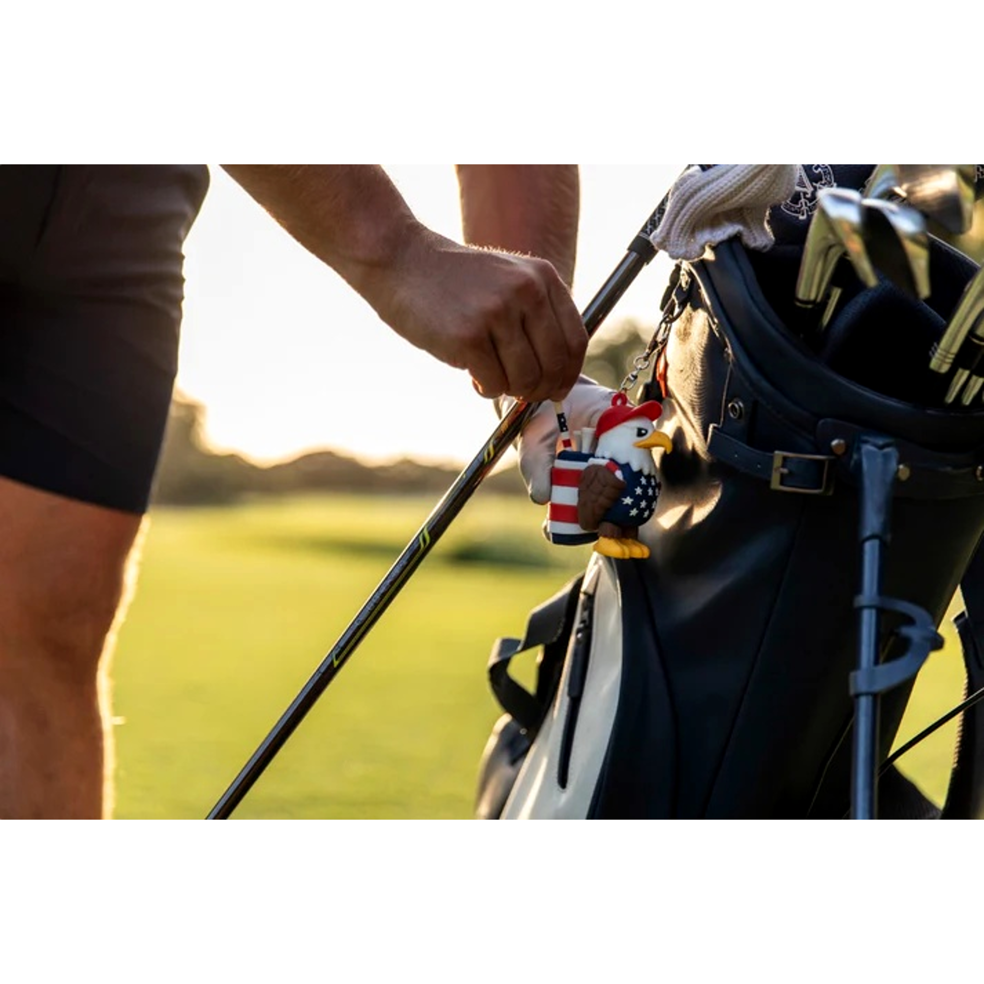 Eagle Caddy Golf Tee Holder