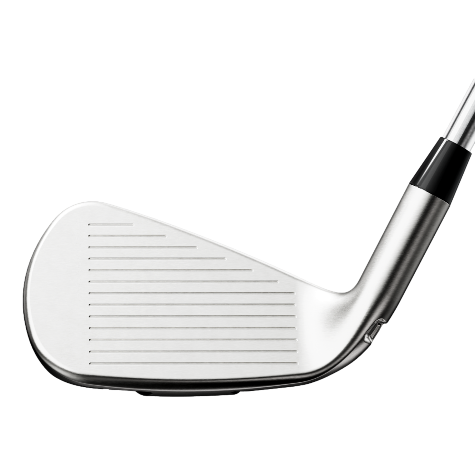 Exotics Max Irons w/ Graphite Shafts