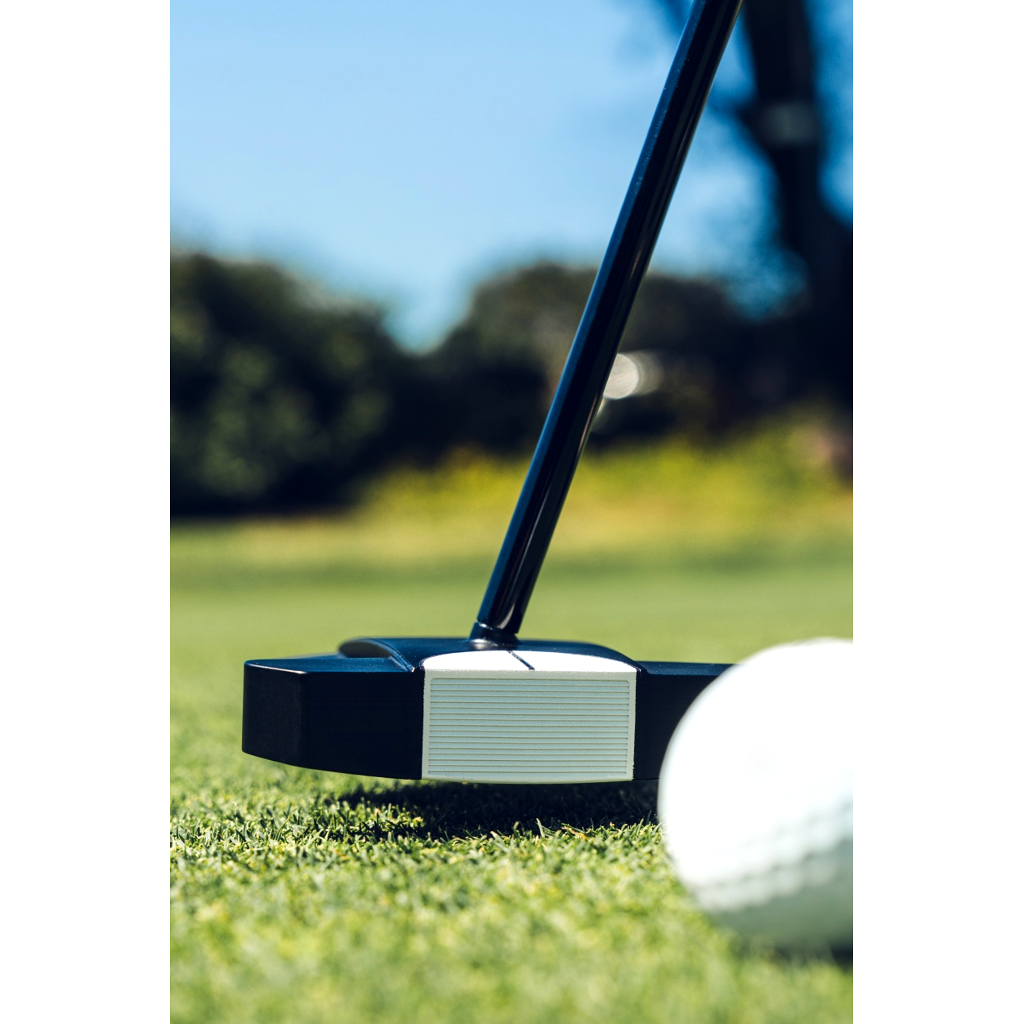 Ai-DUAL Square 2 Square MAX 1/2 Ball OS Putter