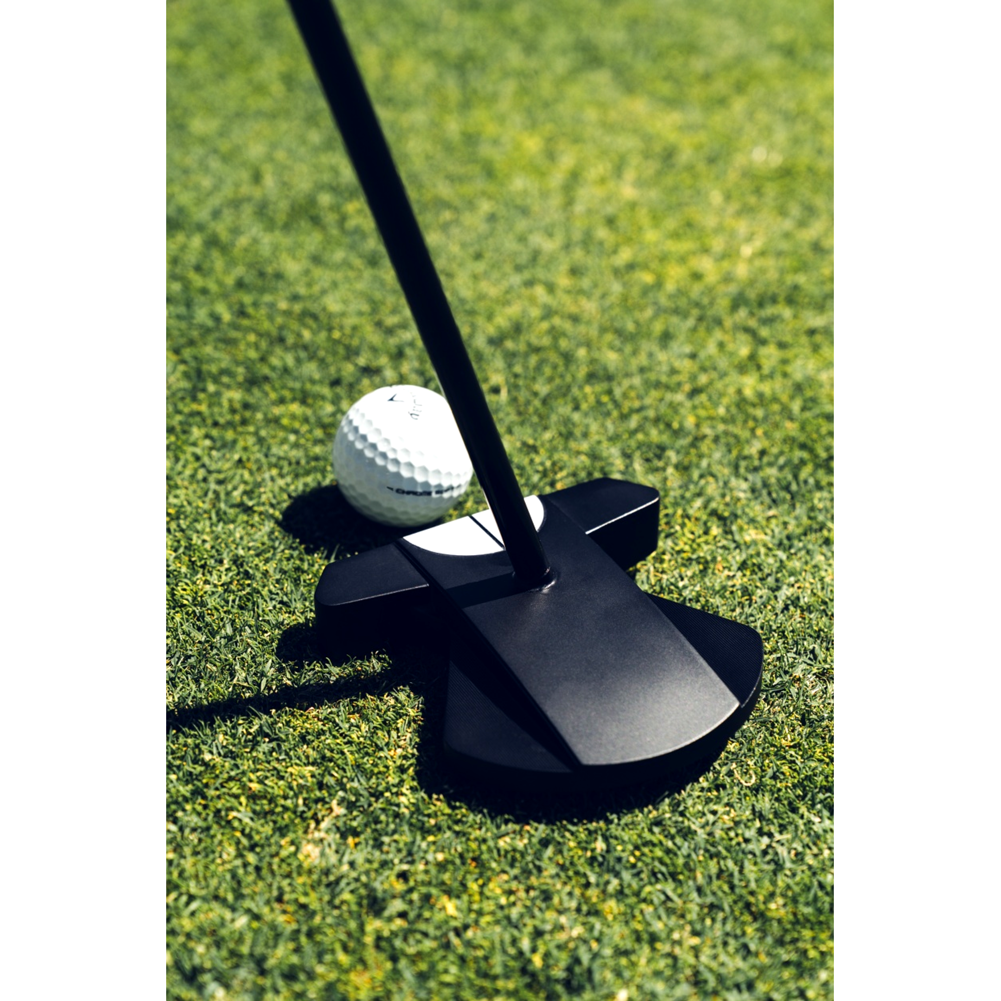 Ai-DUAL Square 2 Square MAX 1/2 Ball Brookstick Putter