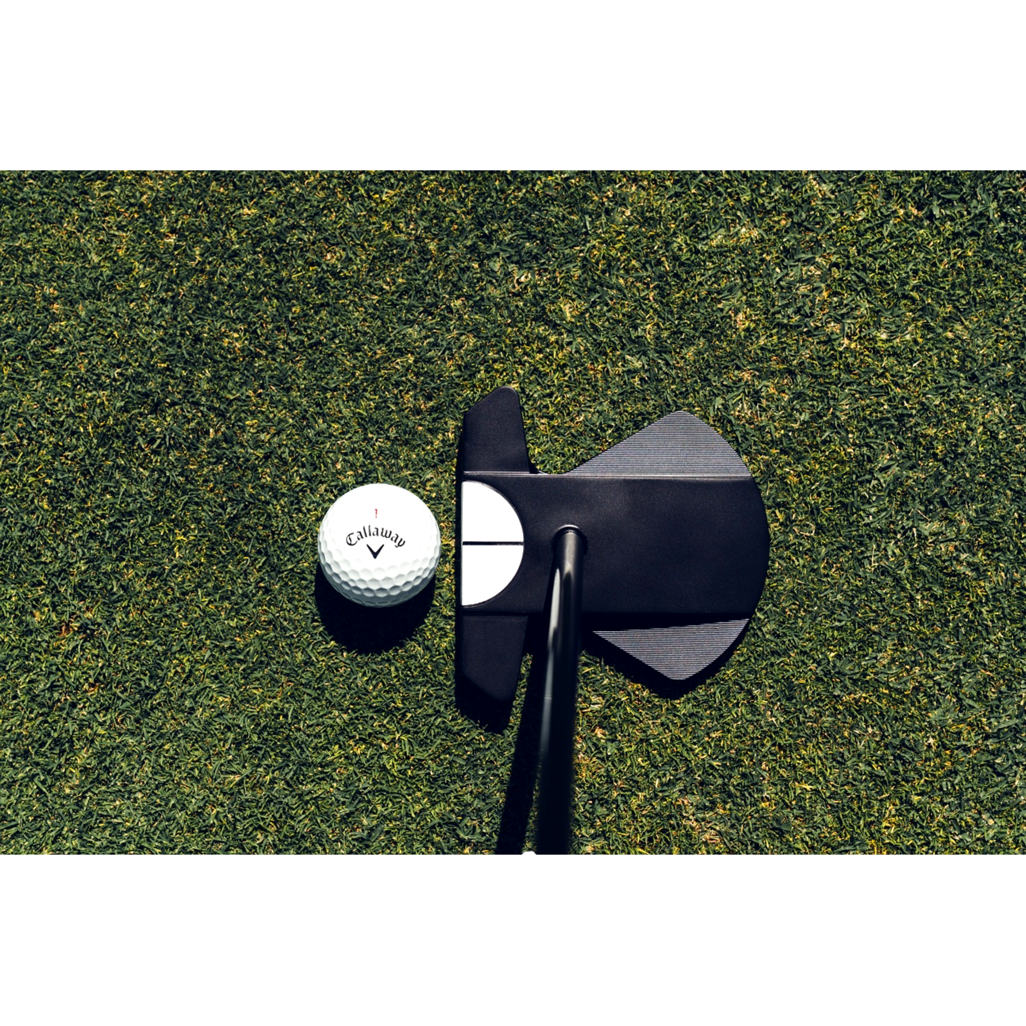 Ai-DUAL Square 2 Square MAX 1/2 Ball Brookstick Putter