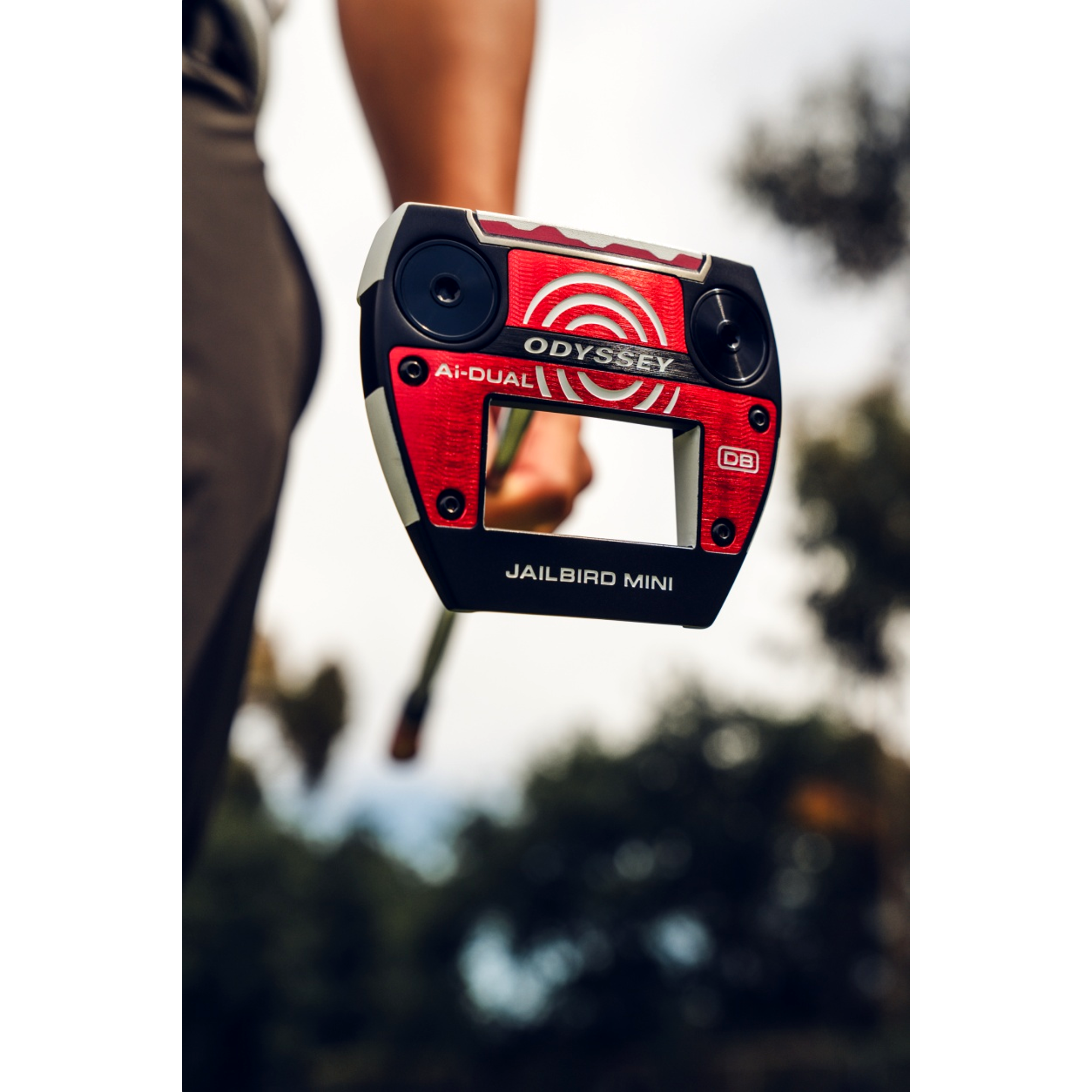 Ai-DUAL Jailbird Mini Putter