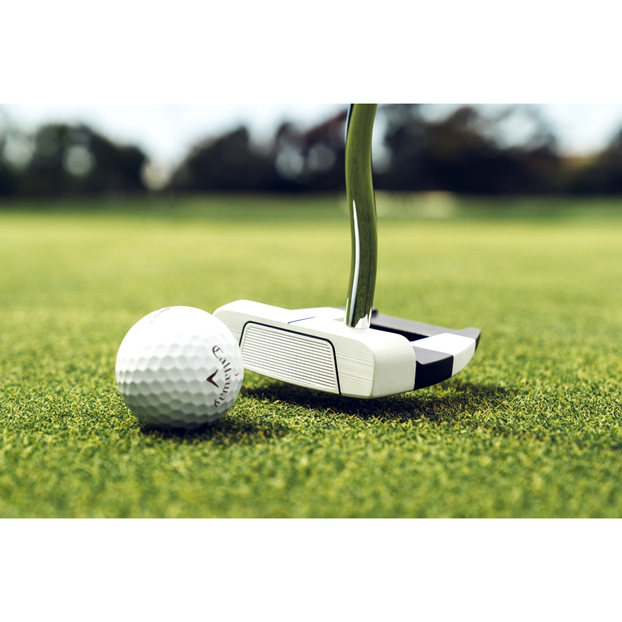 Odyssey Ai-DUAL Jailbird Mini Putter | PGA TOUR Superstore