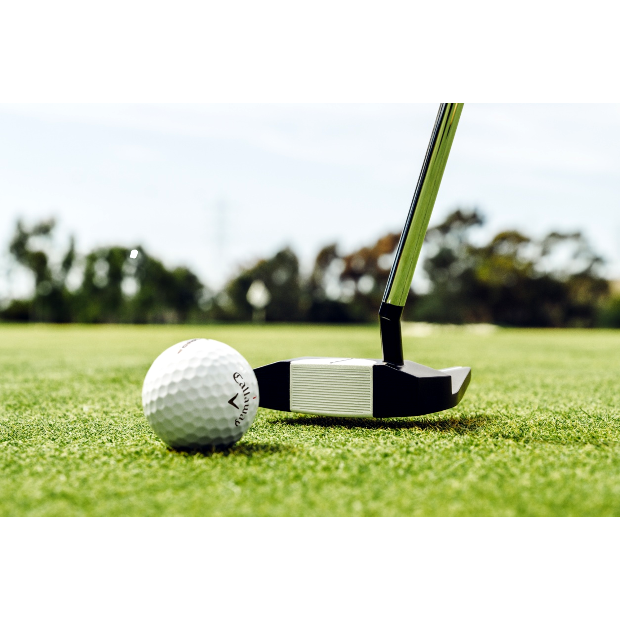 Ai-DUAL #7 S 1/2 Ball Putter