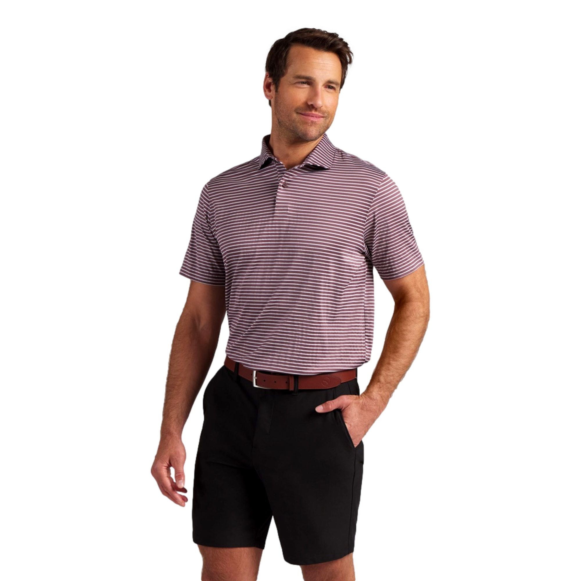 Brr Stripe Men's Golf Polo Shirt