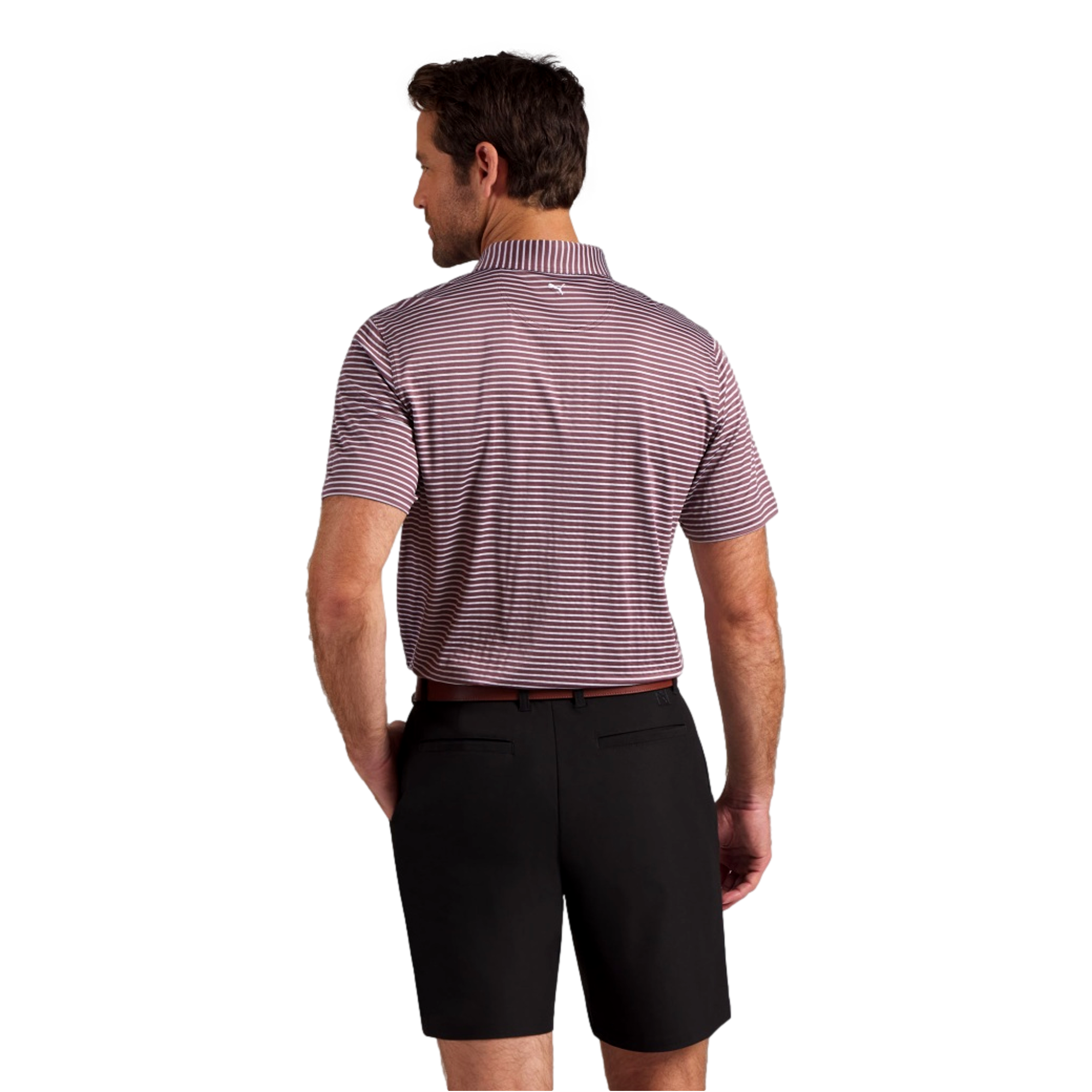 Brr Stripe Men's Golf Polo Shirt