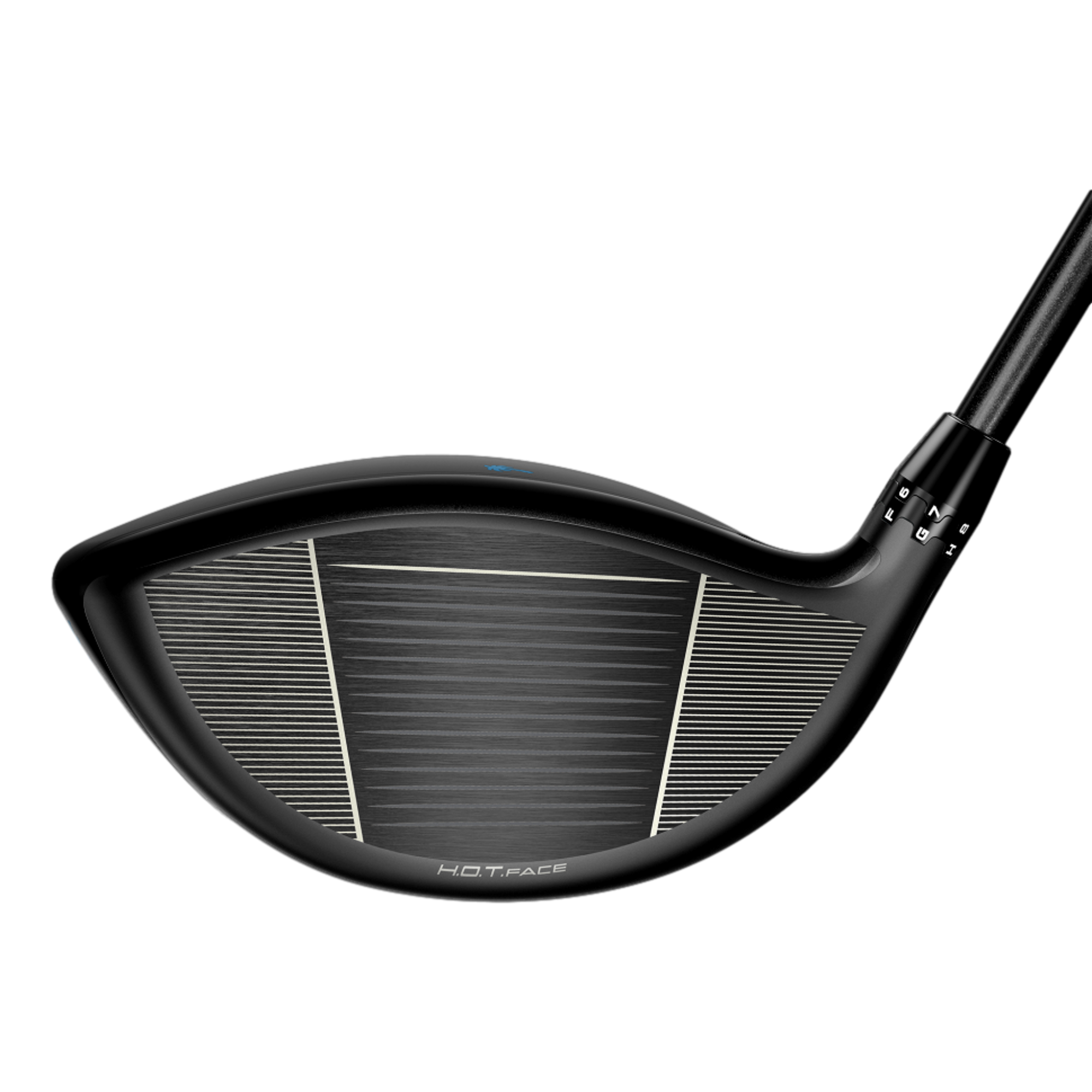 OPTM X Palm Tree Crew Driver