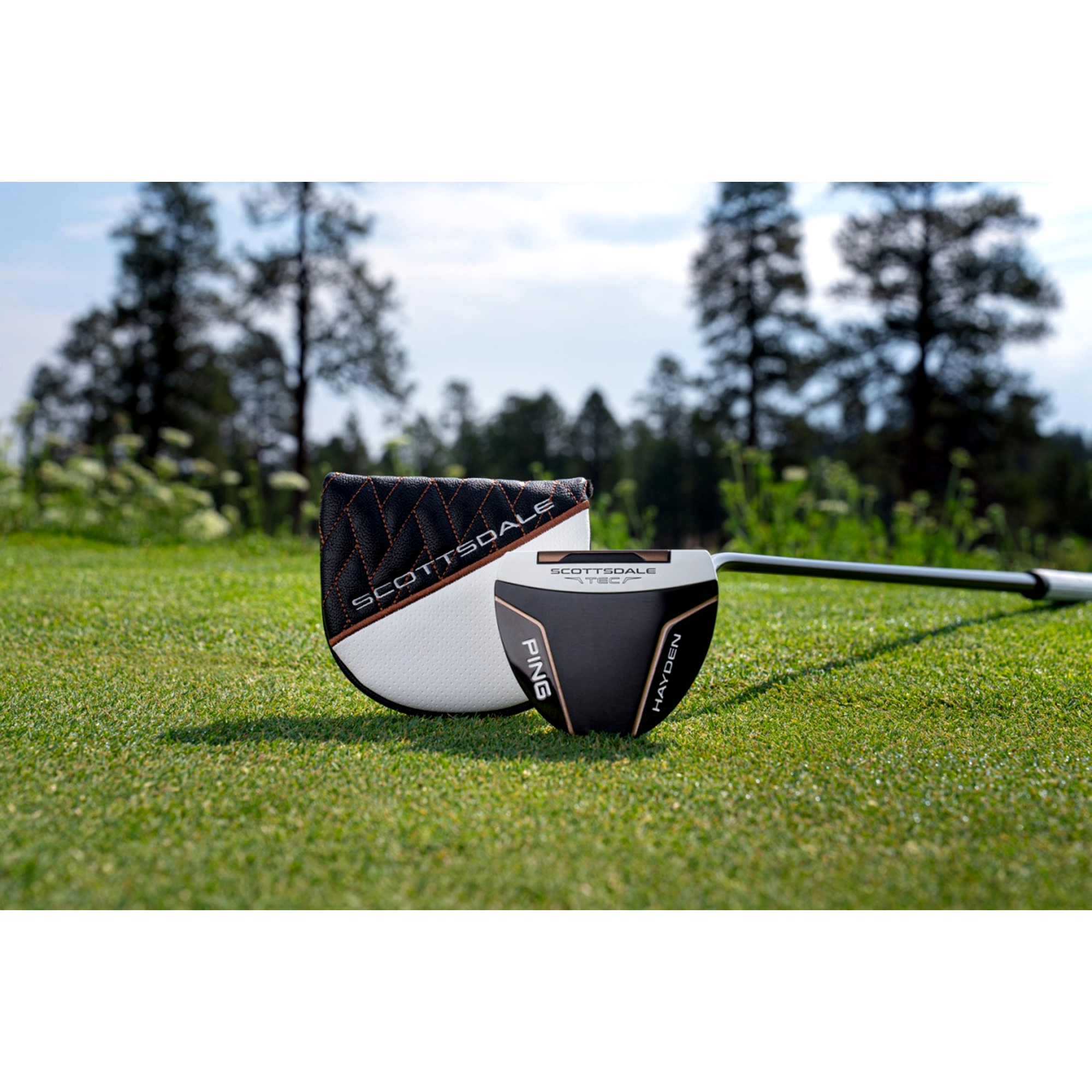 Scottsdale TEC Hayden Putter