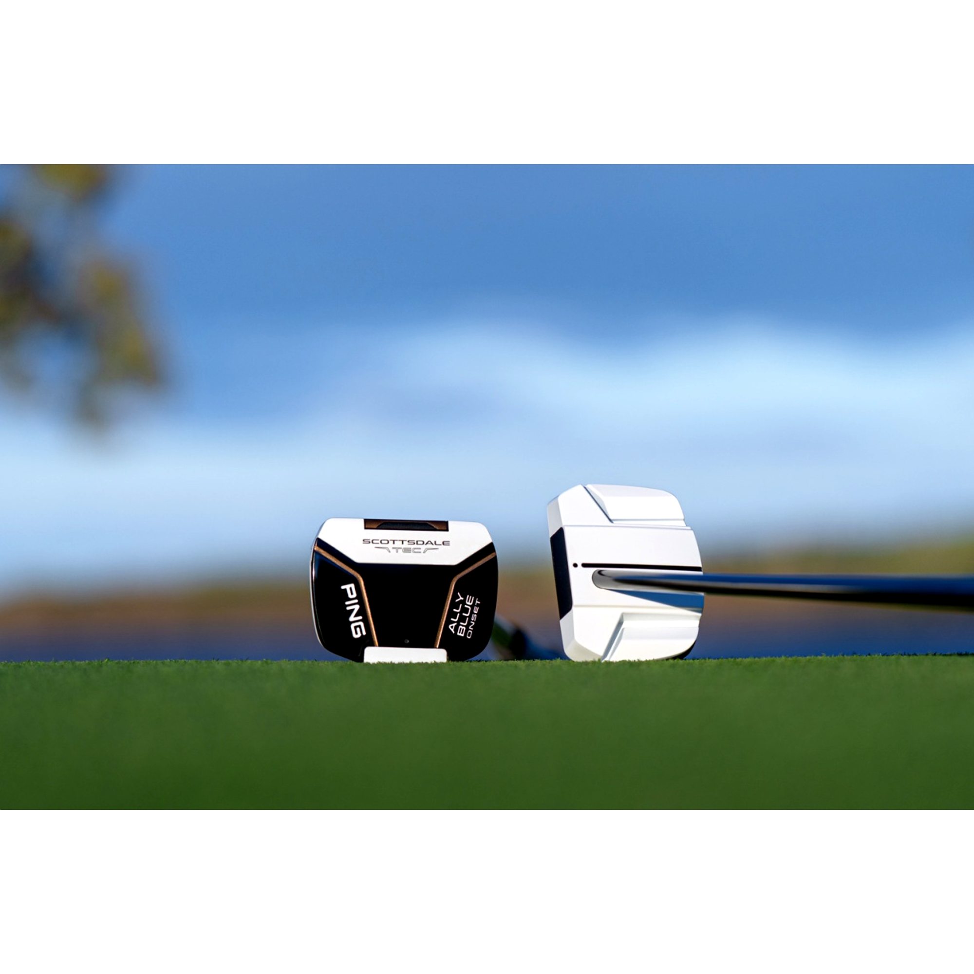 Scottsdale TEC Ally Blue Onset Putter