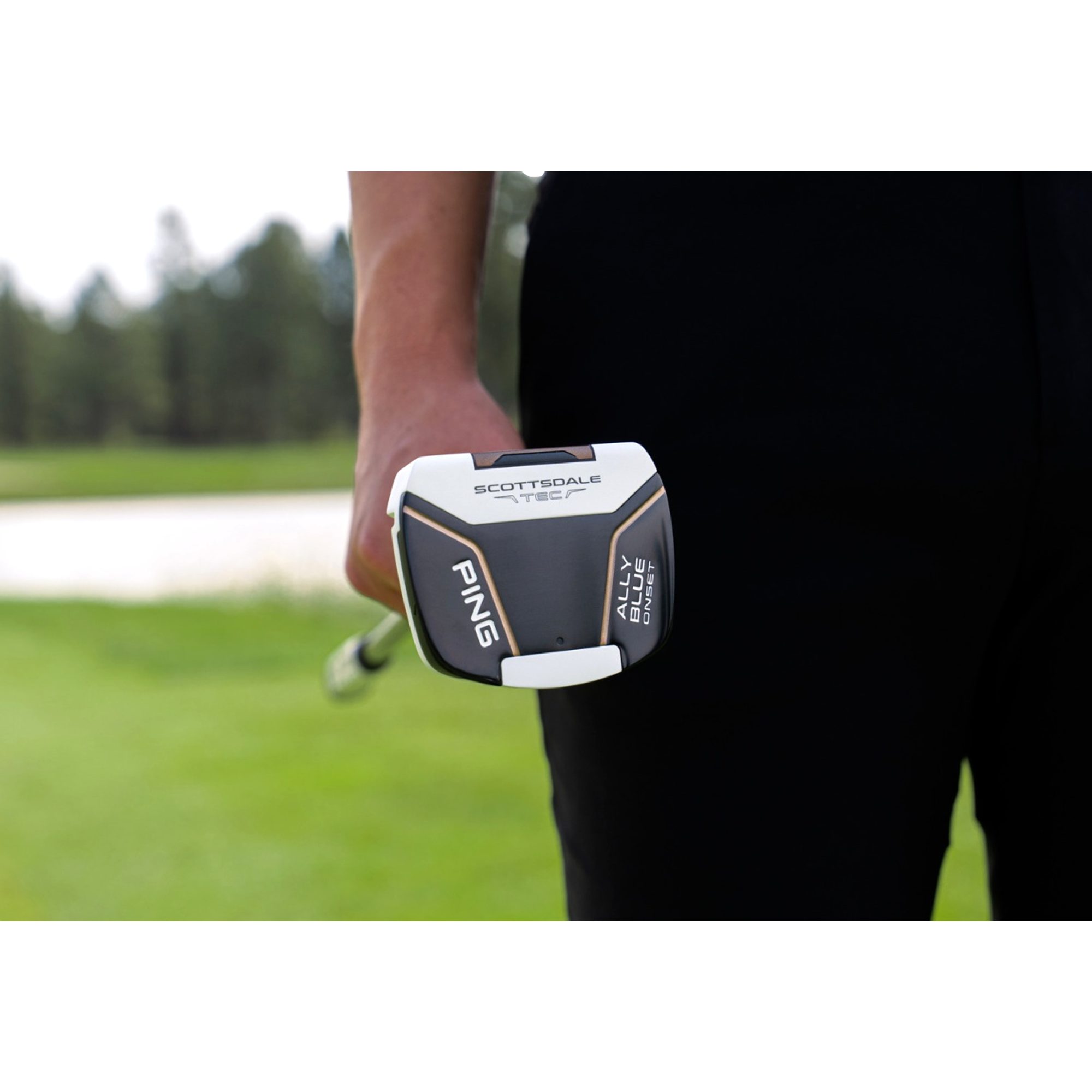 Scottsdale TEC Ally Blue Onset Putter