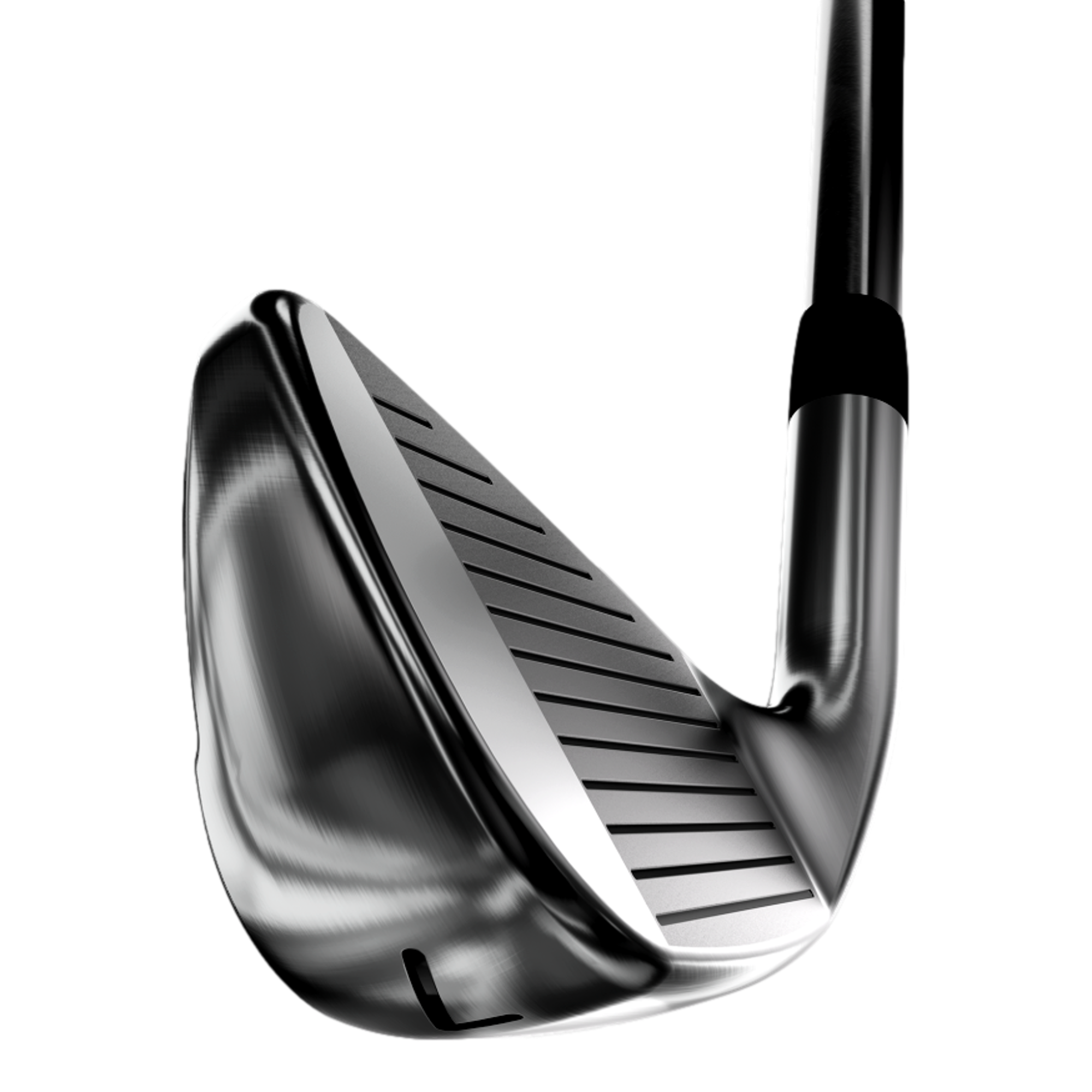0311 XP GEN8 Irons w/ Steel Shafts