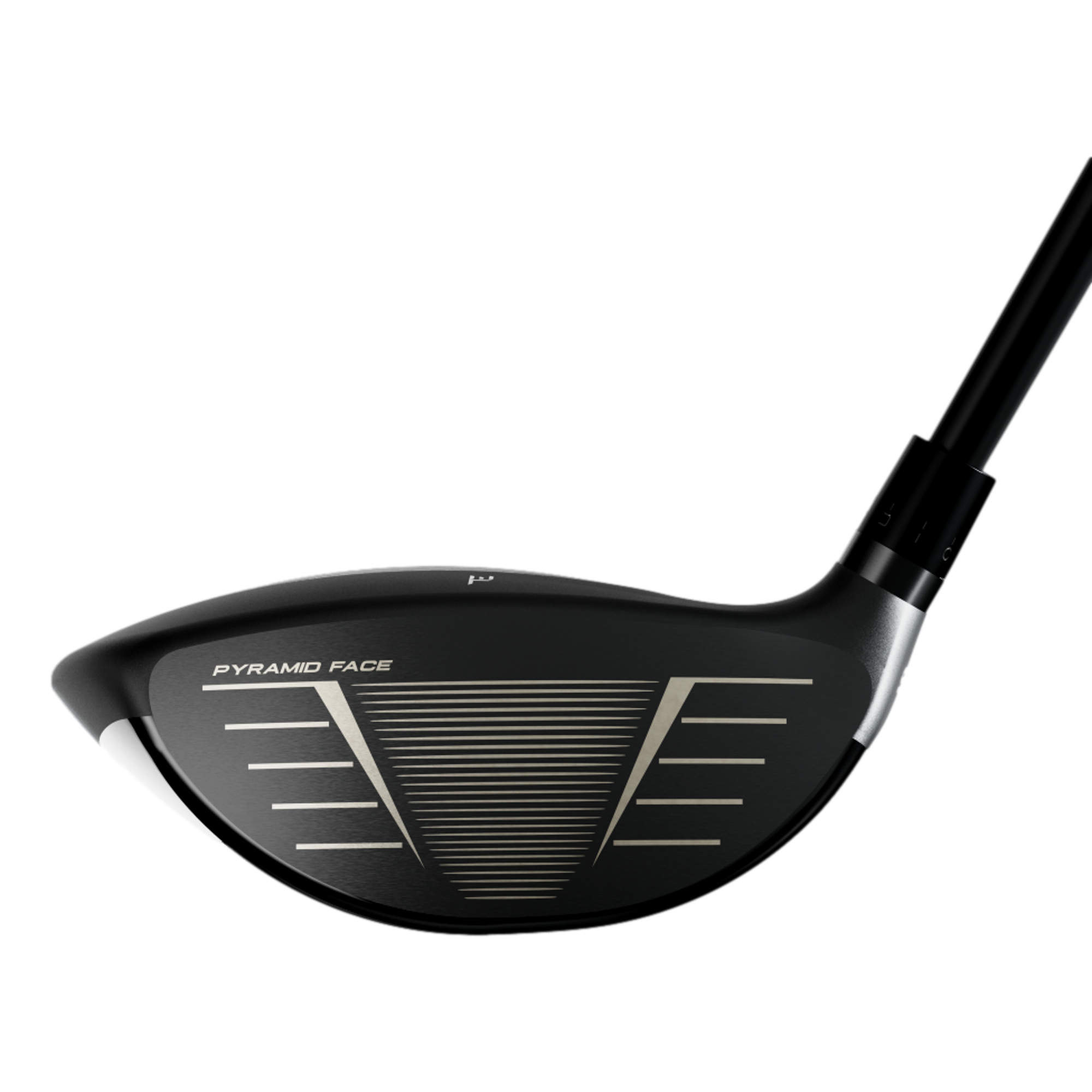 Exotics Women's Mini Driver