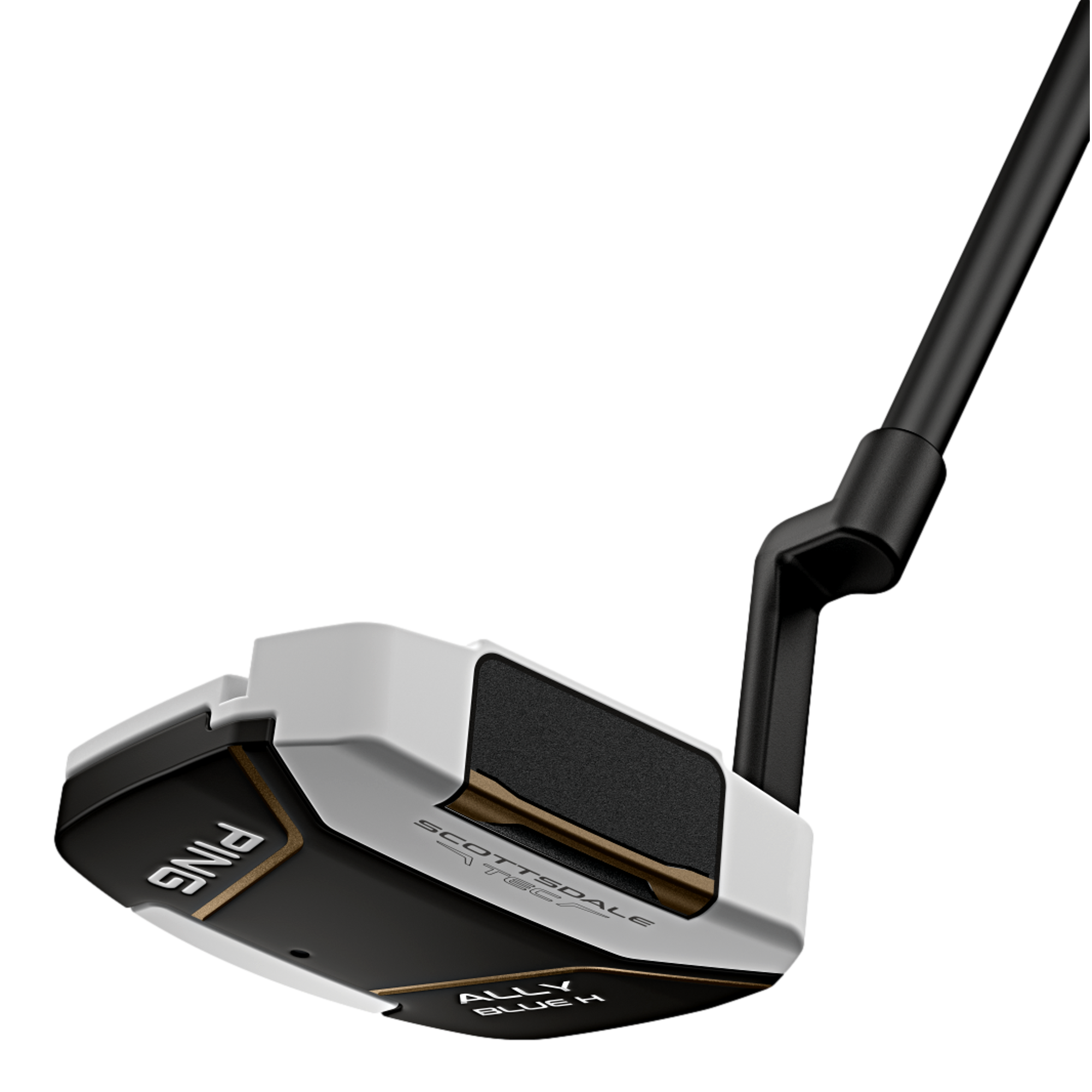 Scottsdale TEC Ally Blue H Putter